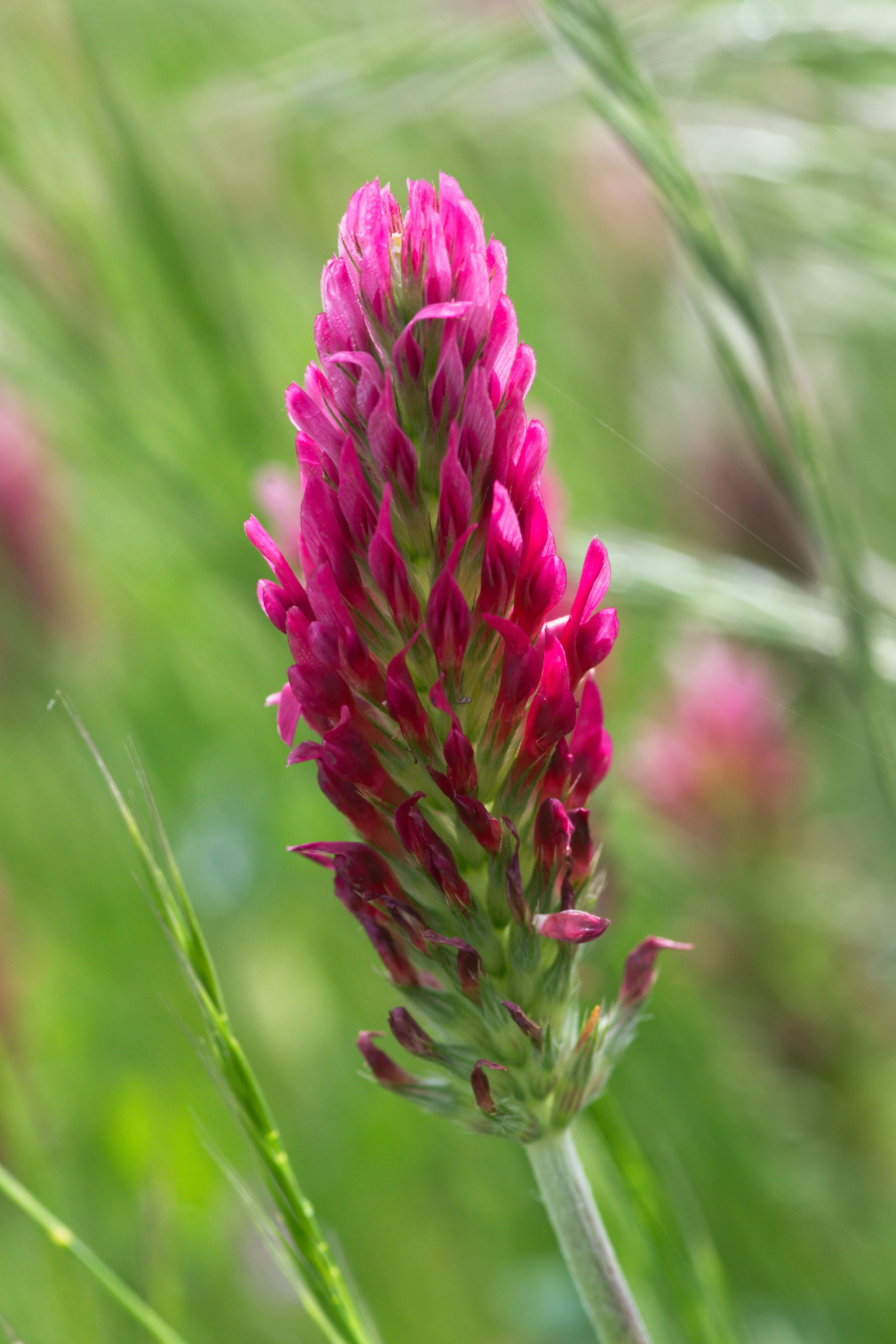 Photo by pixtresa