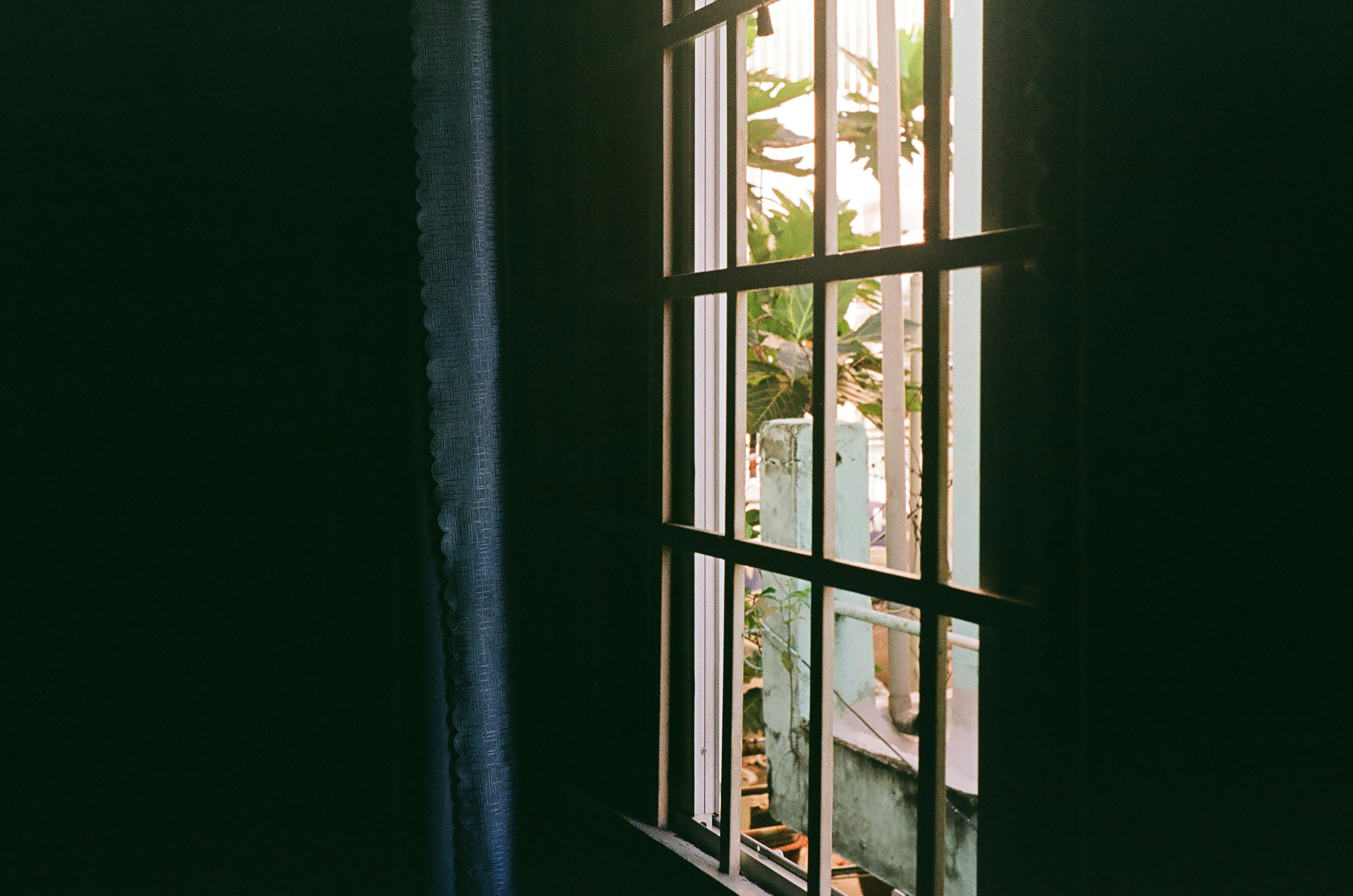 Photo by donguyenkhanhs