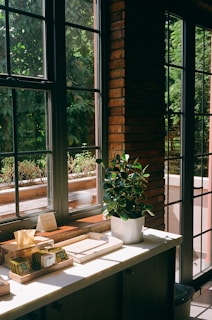 A kitchen counter with a potted plant on top of it