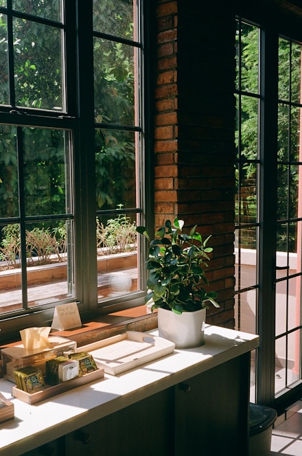 A kitchen counter with a potted plant on top of it