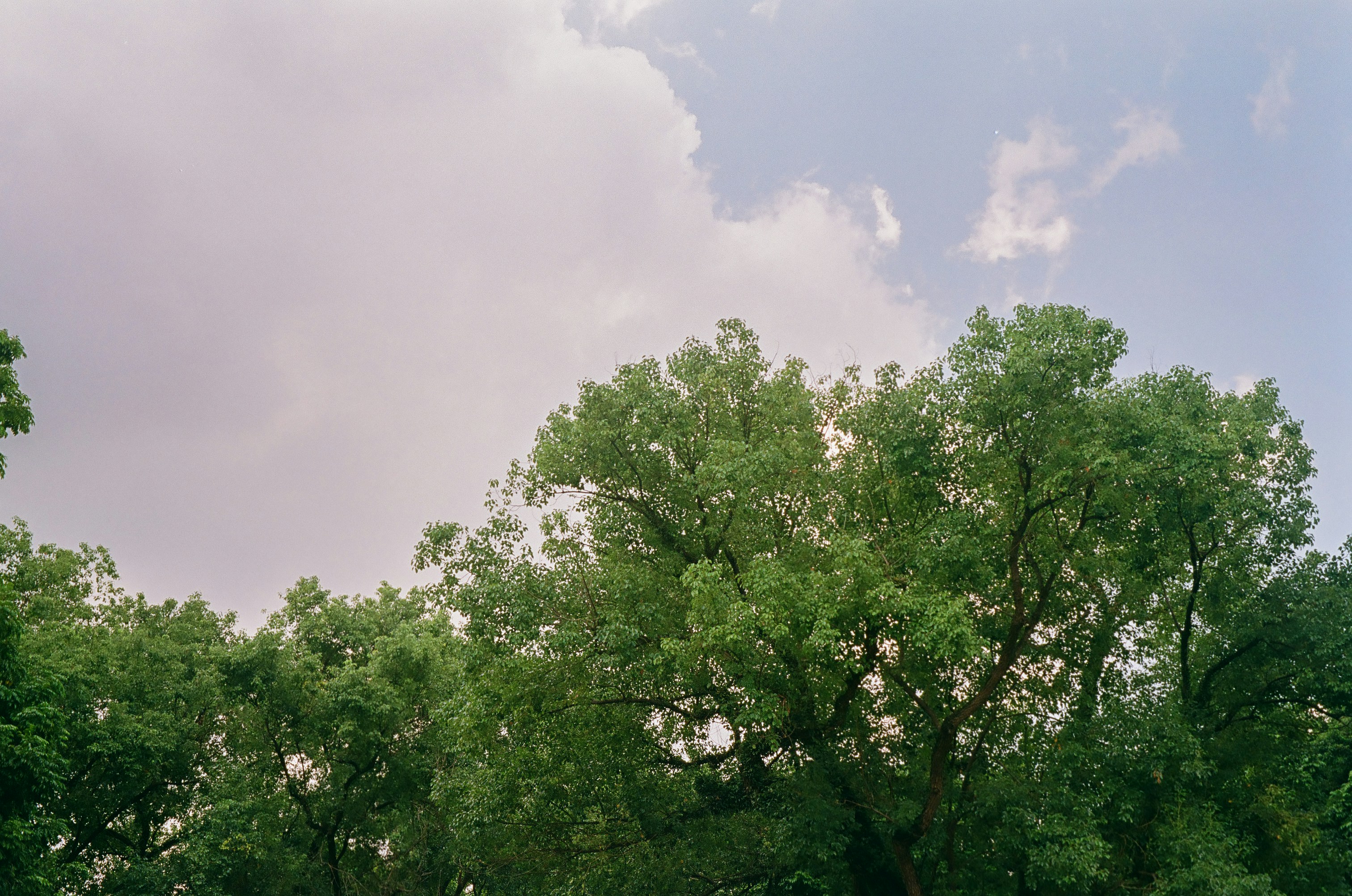 Photo by donguyenkhanhs