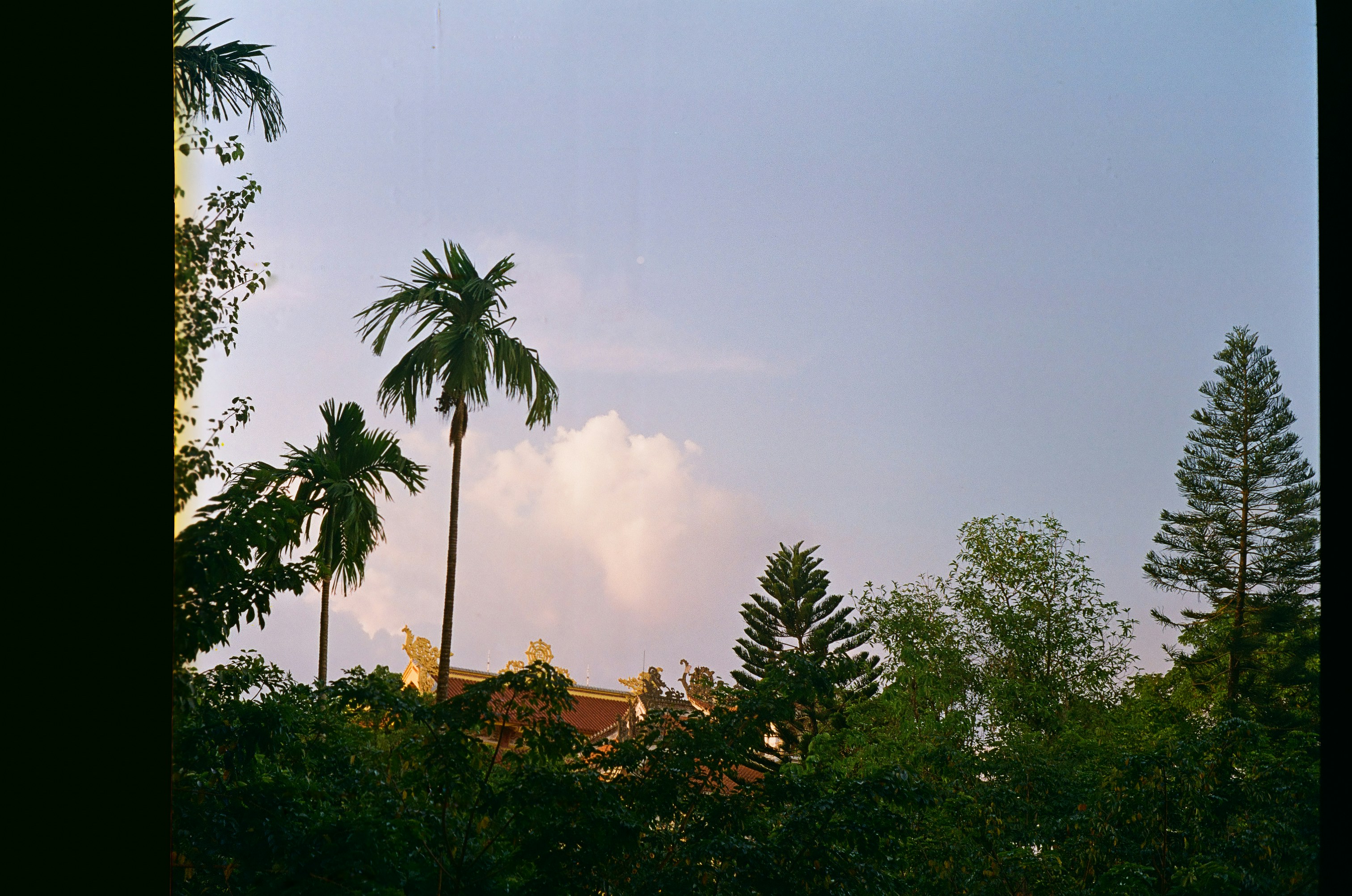 Photo by donguyenkhanhs