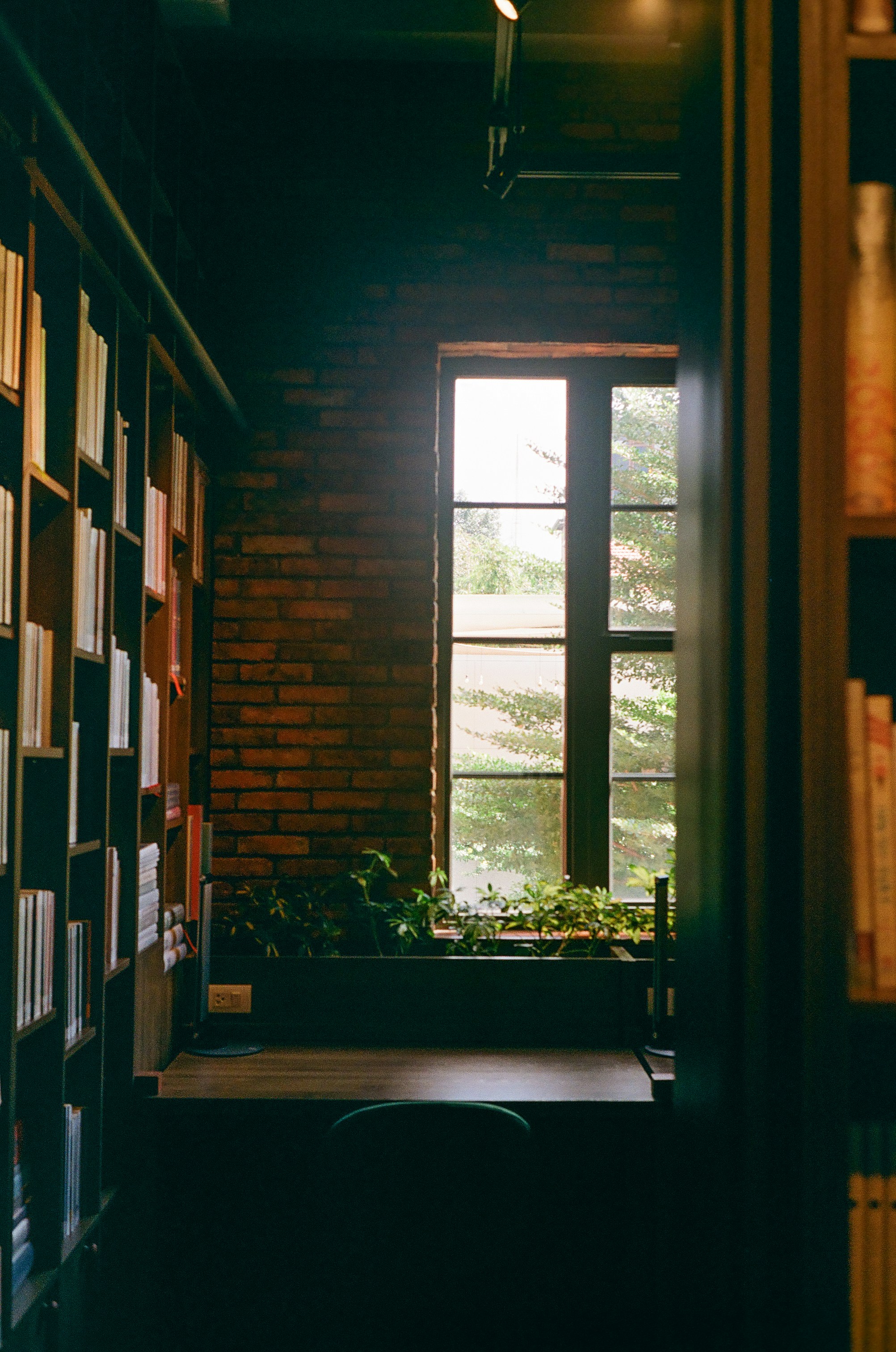 Photo by donguyenkhanhs