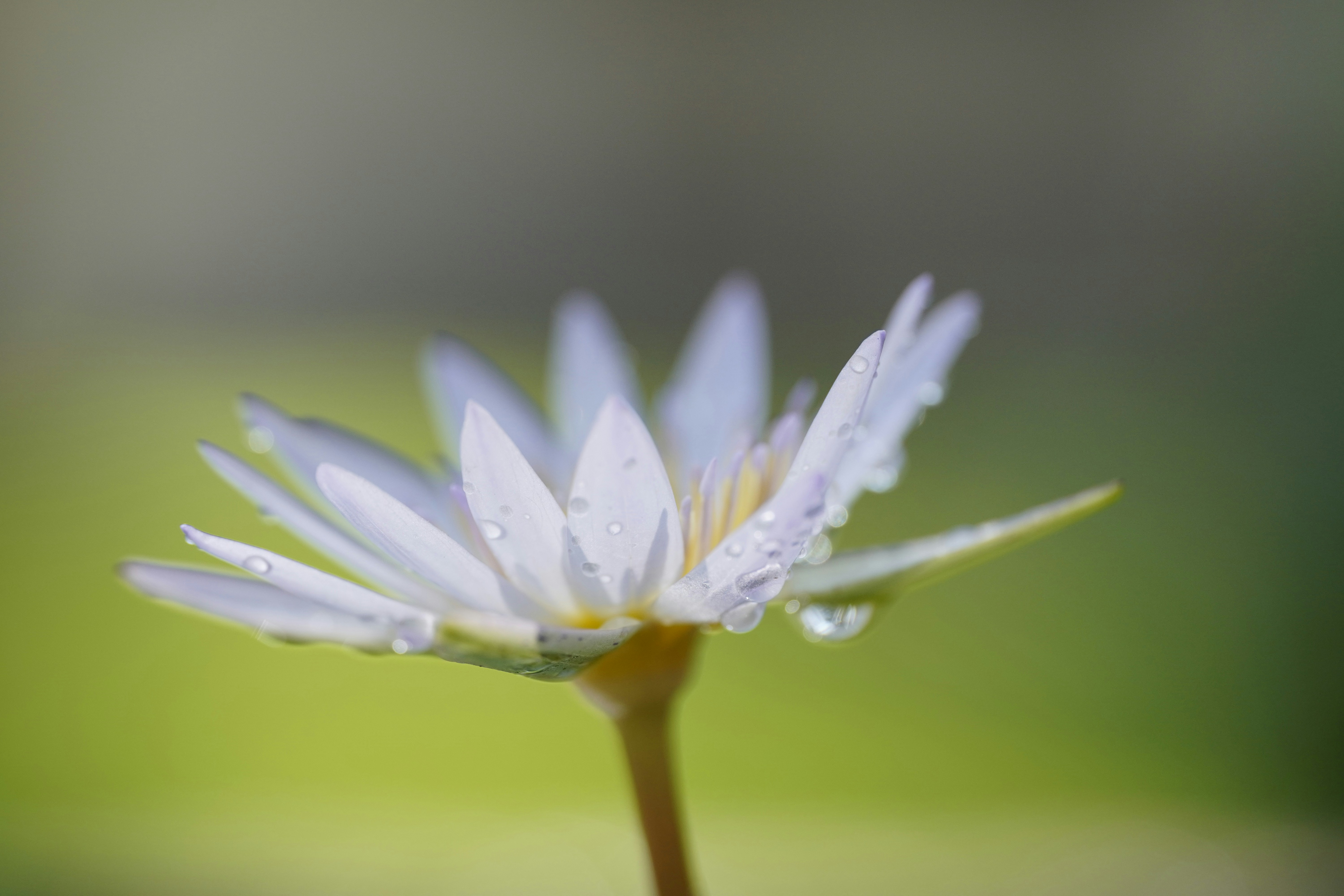 Photo by hanspetertraunig