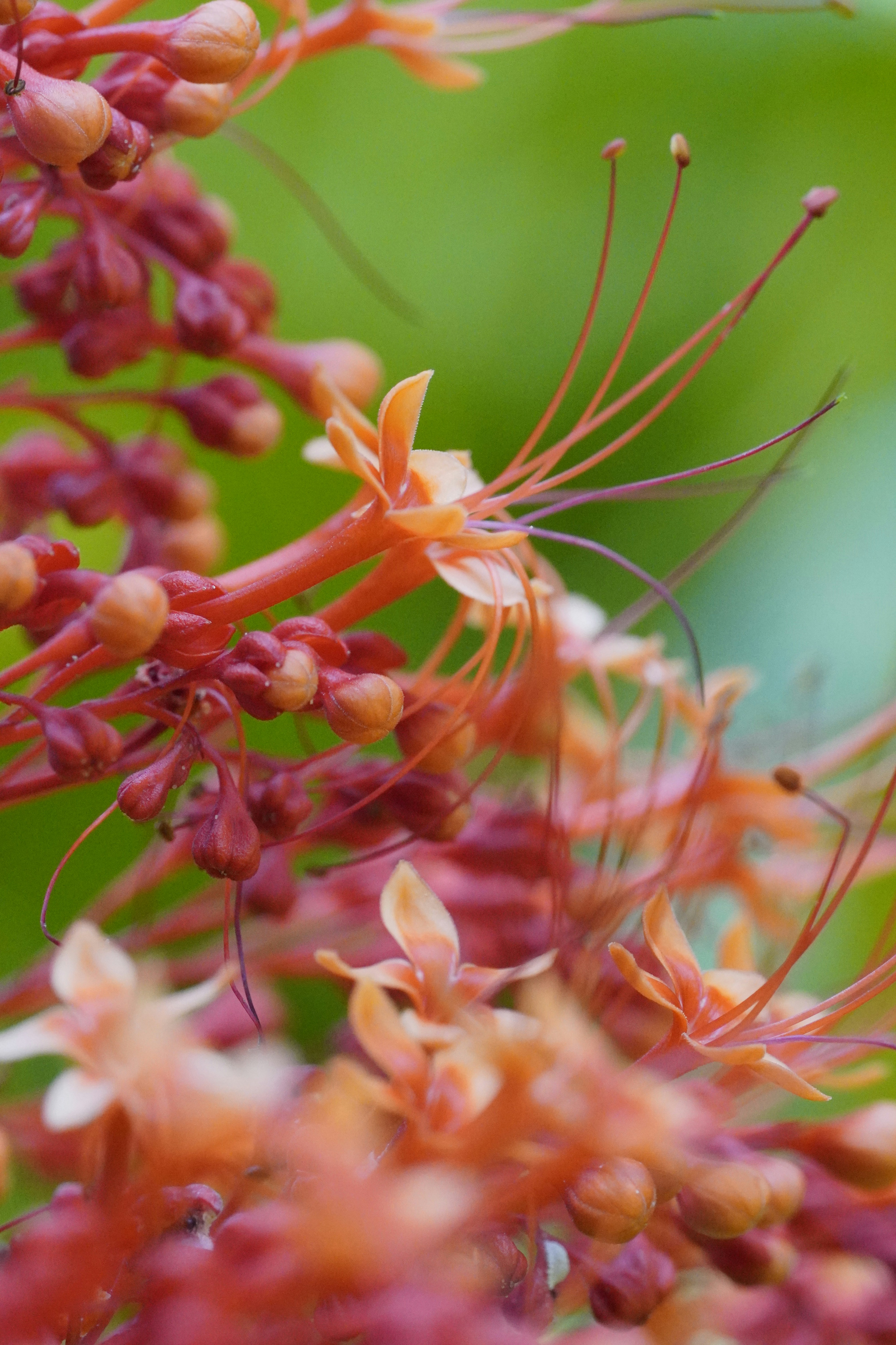 Photo by hanspetertraunig