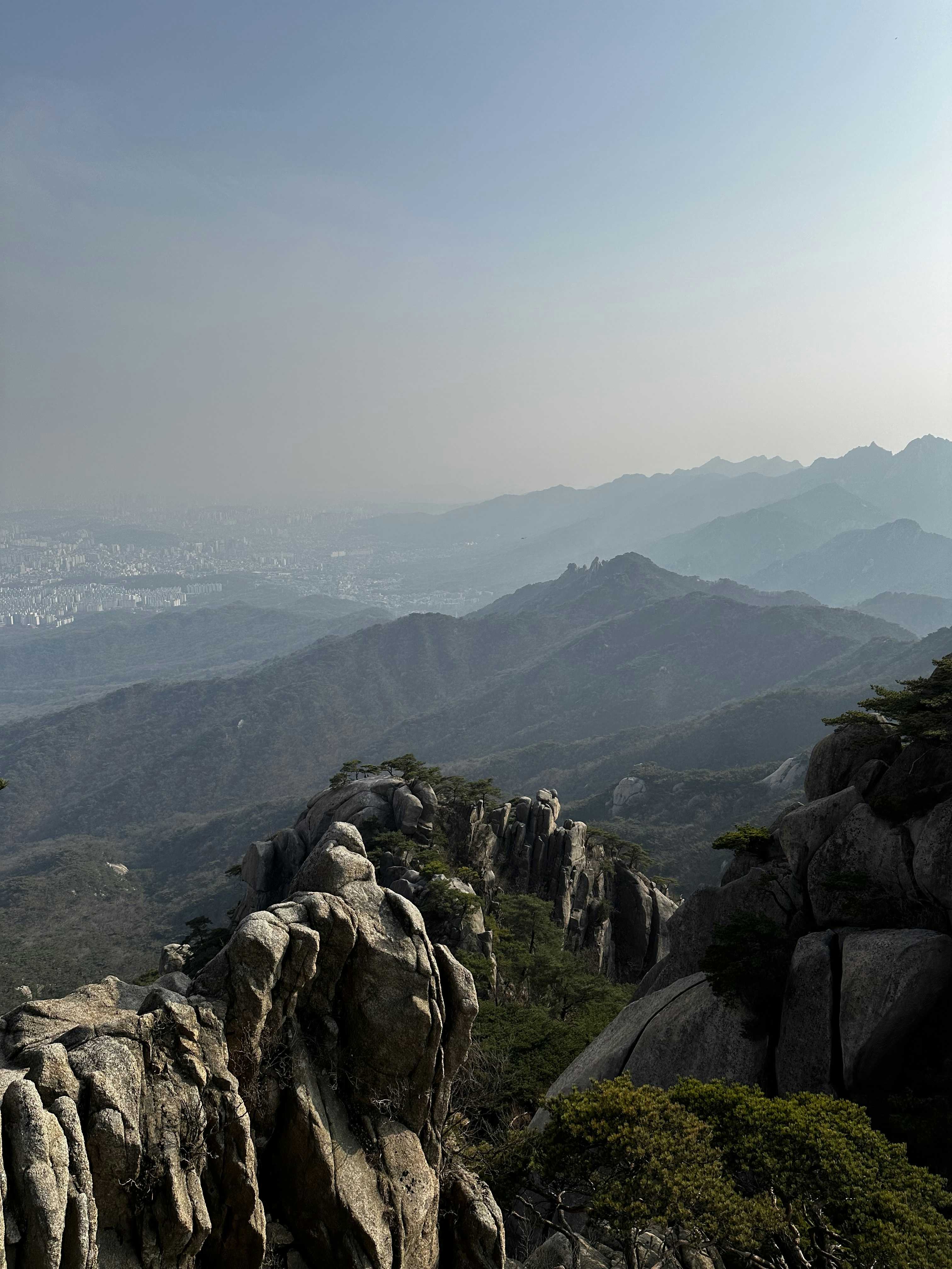 Photo by artemisss666