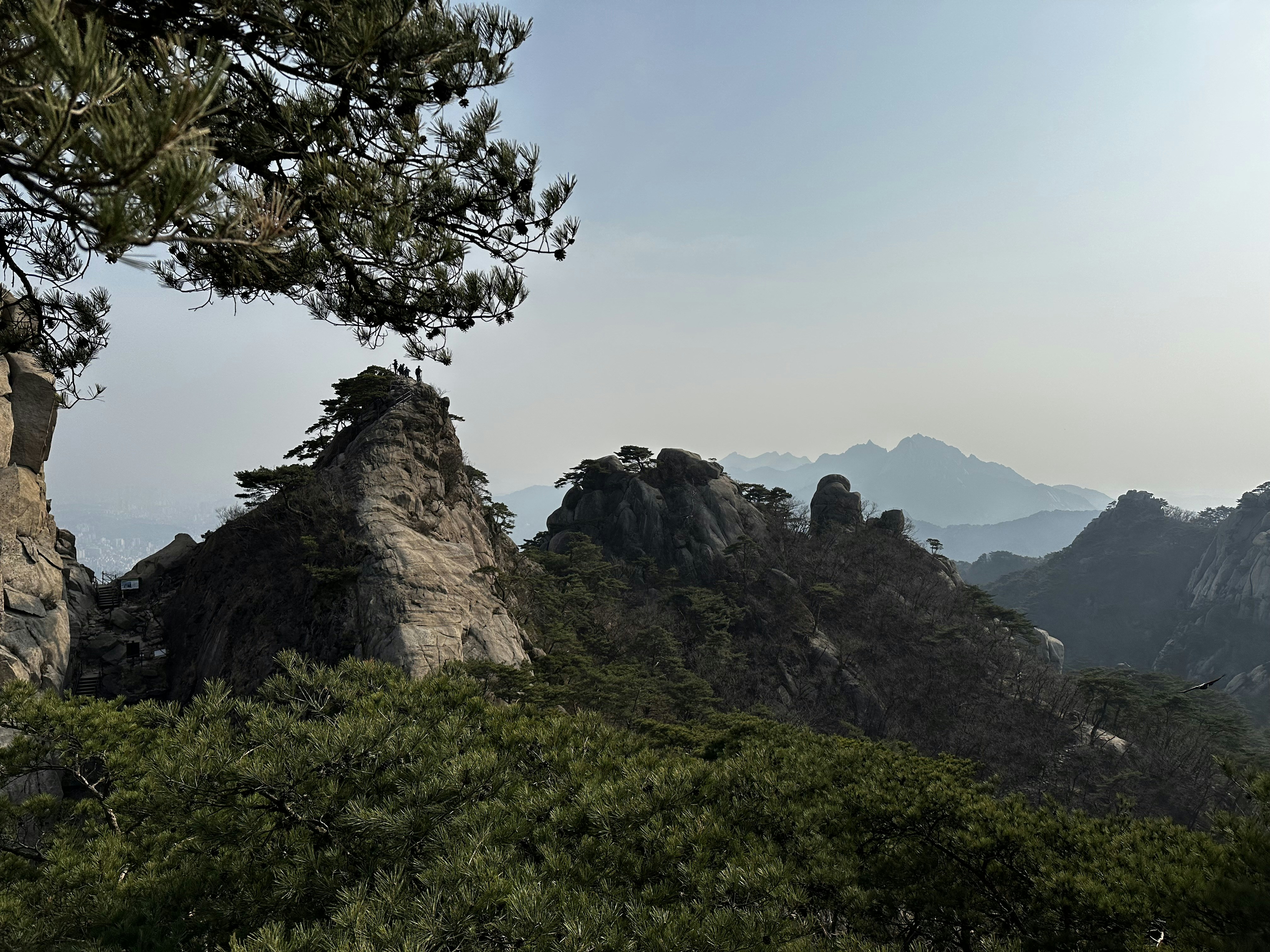 Photo by artemisss666