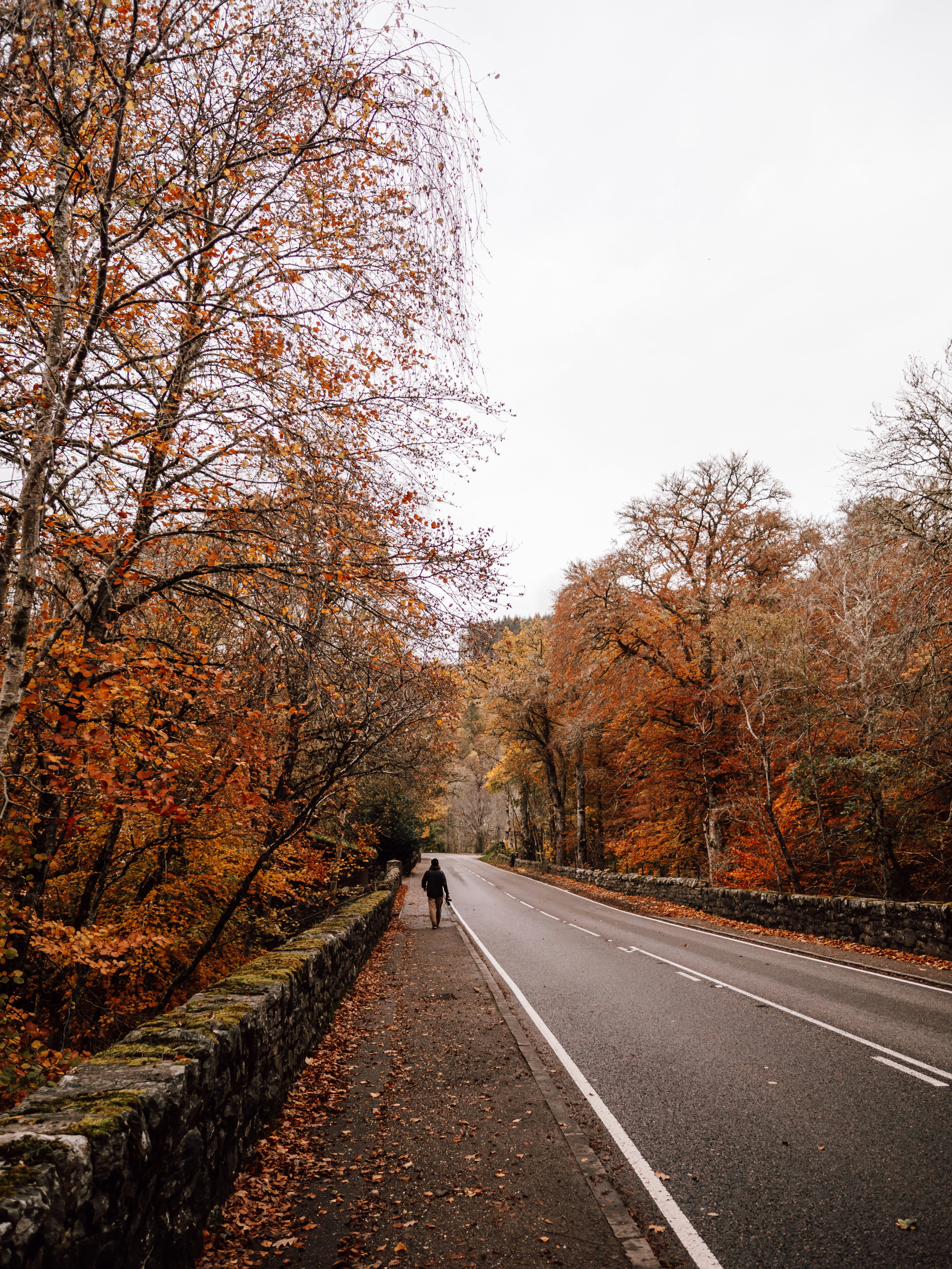 Photo by paulinaherpel