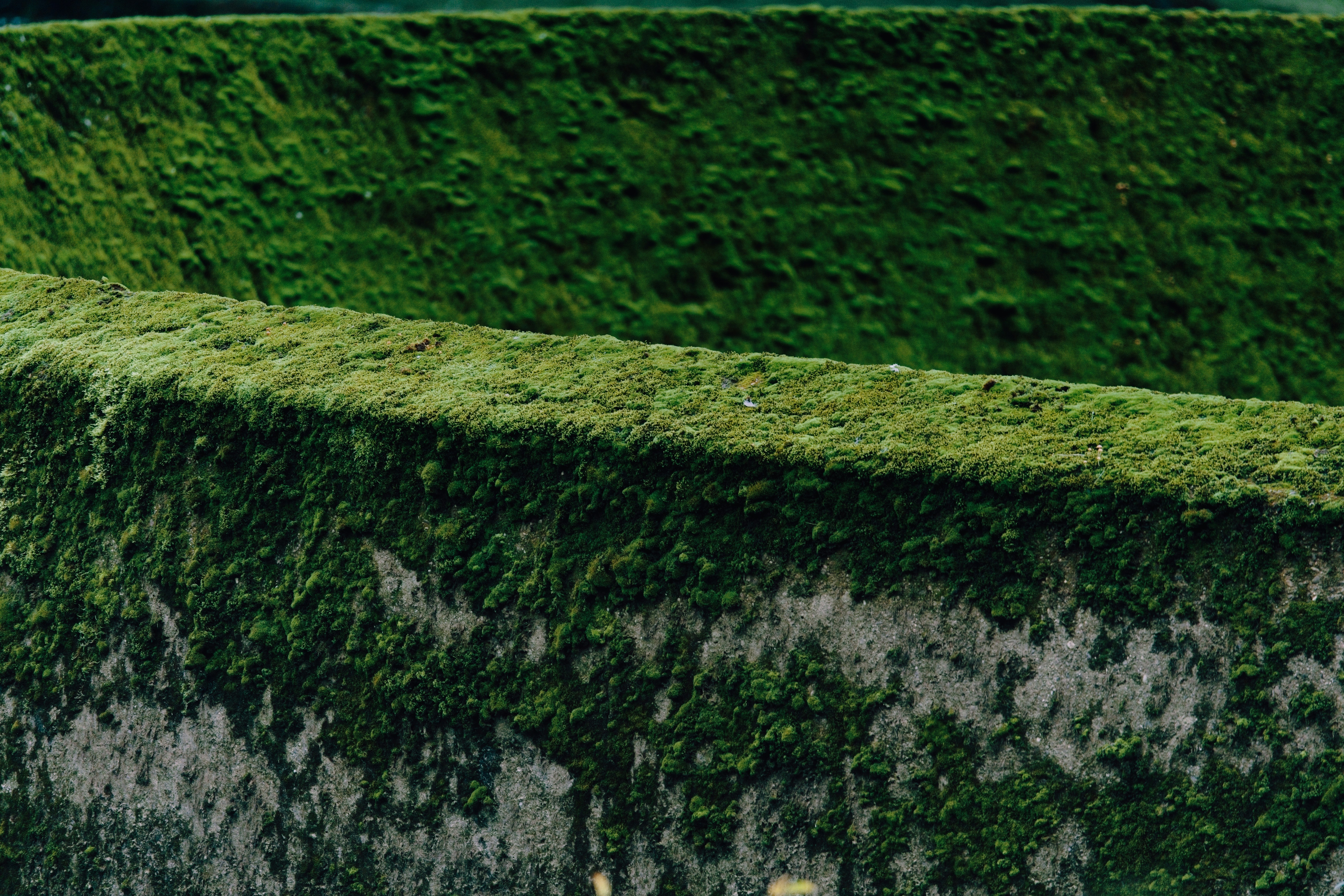 MOSS : Un éditeur de pixels où chaque pinceau est un petit programme