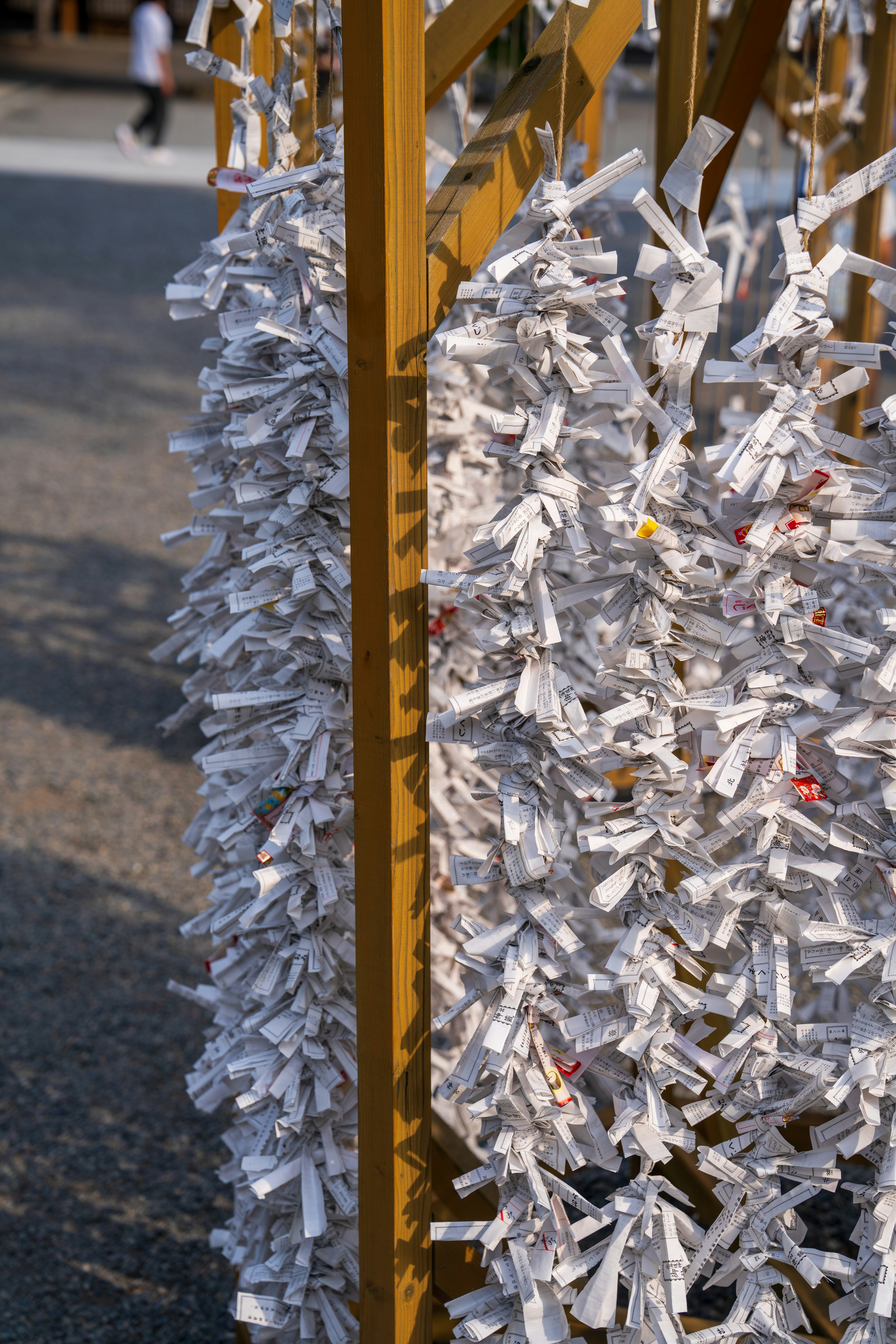 5 Reasons Home Paper Shredding Is Your First Defense Against Fraud