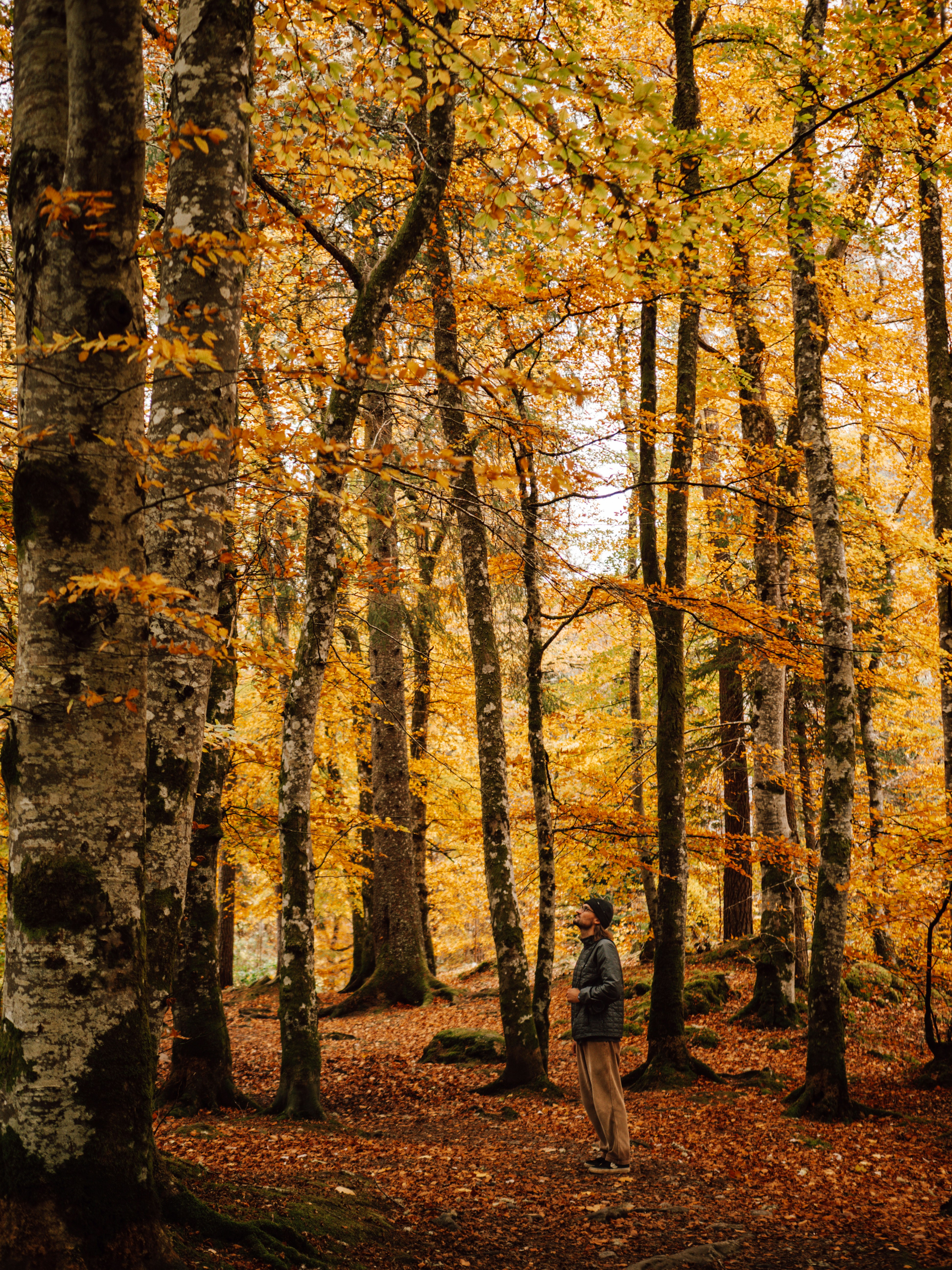 Photo by paulinaherpel