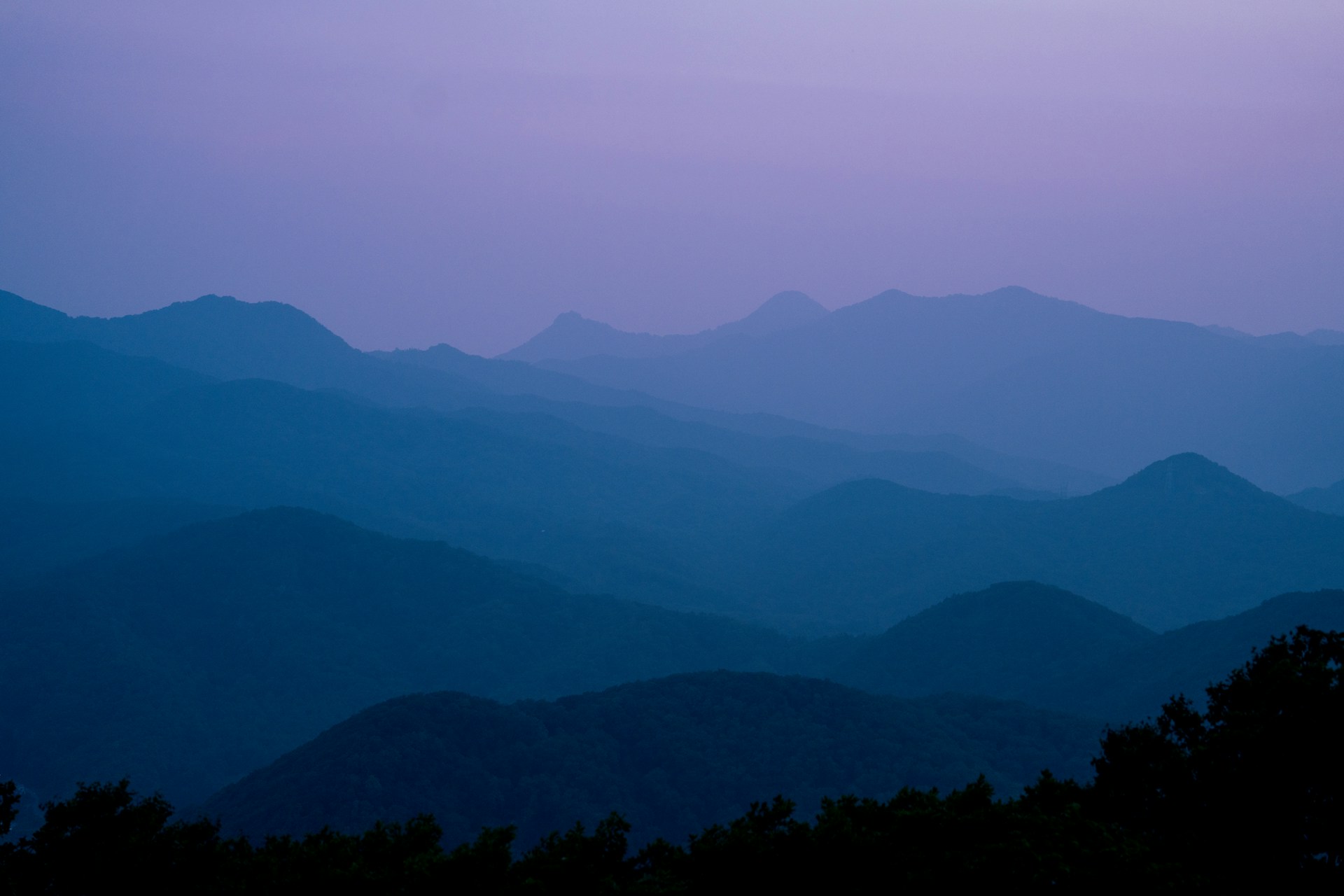 A bird flying over a mountain range at dusk