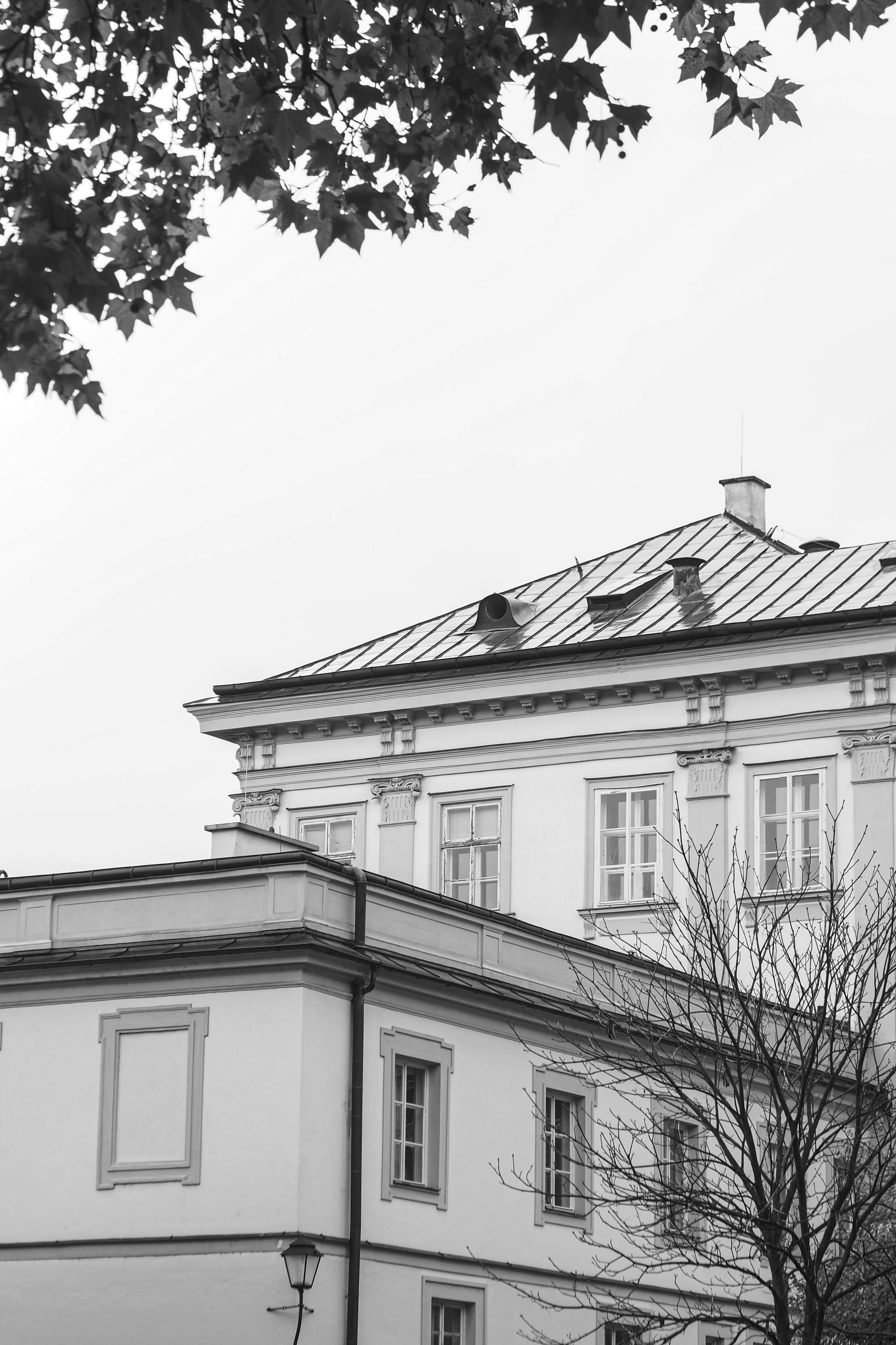 Photo by laurachouette