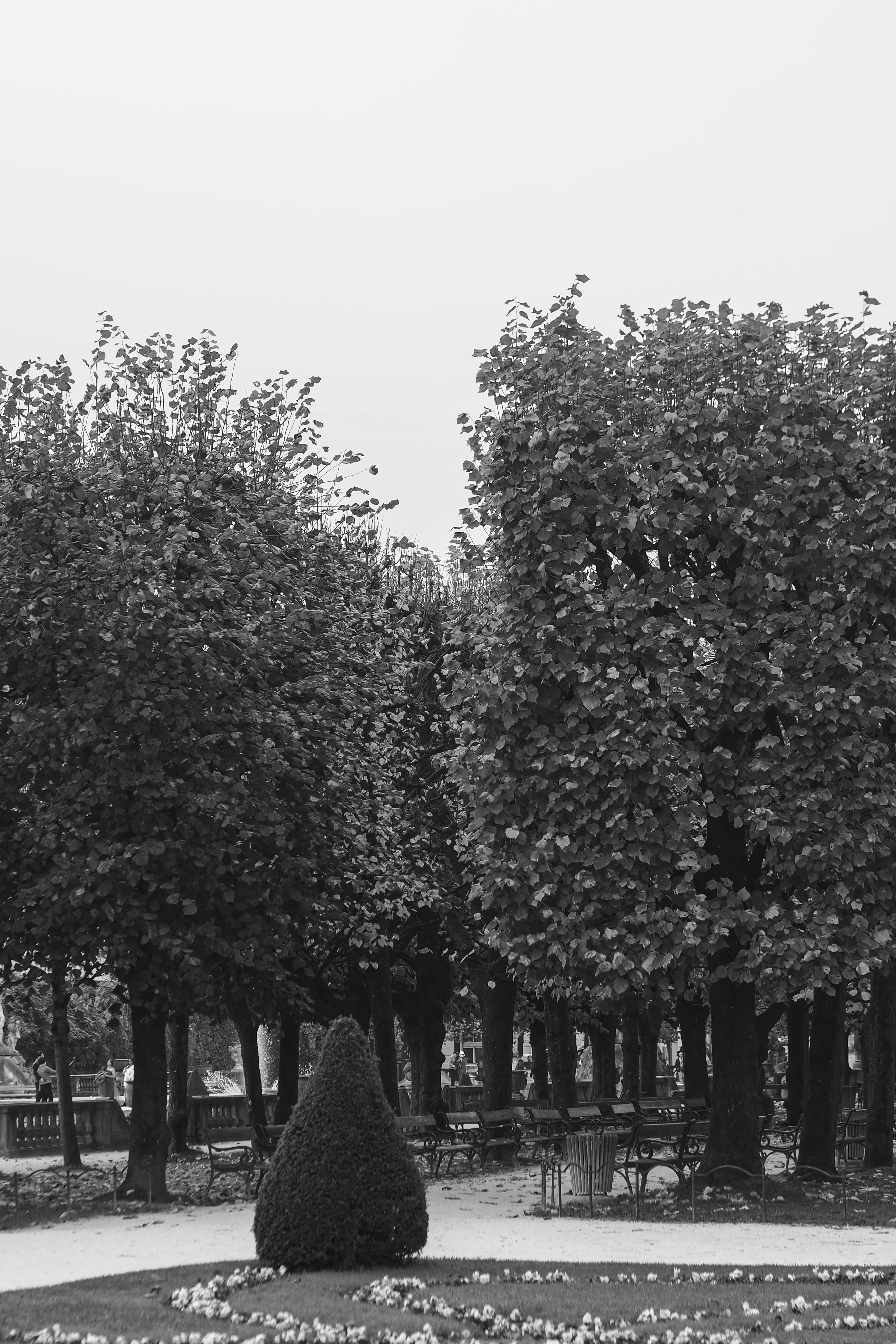 Photo by laurachouette