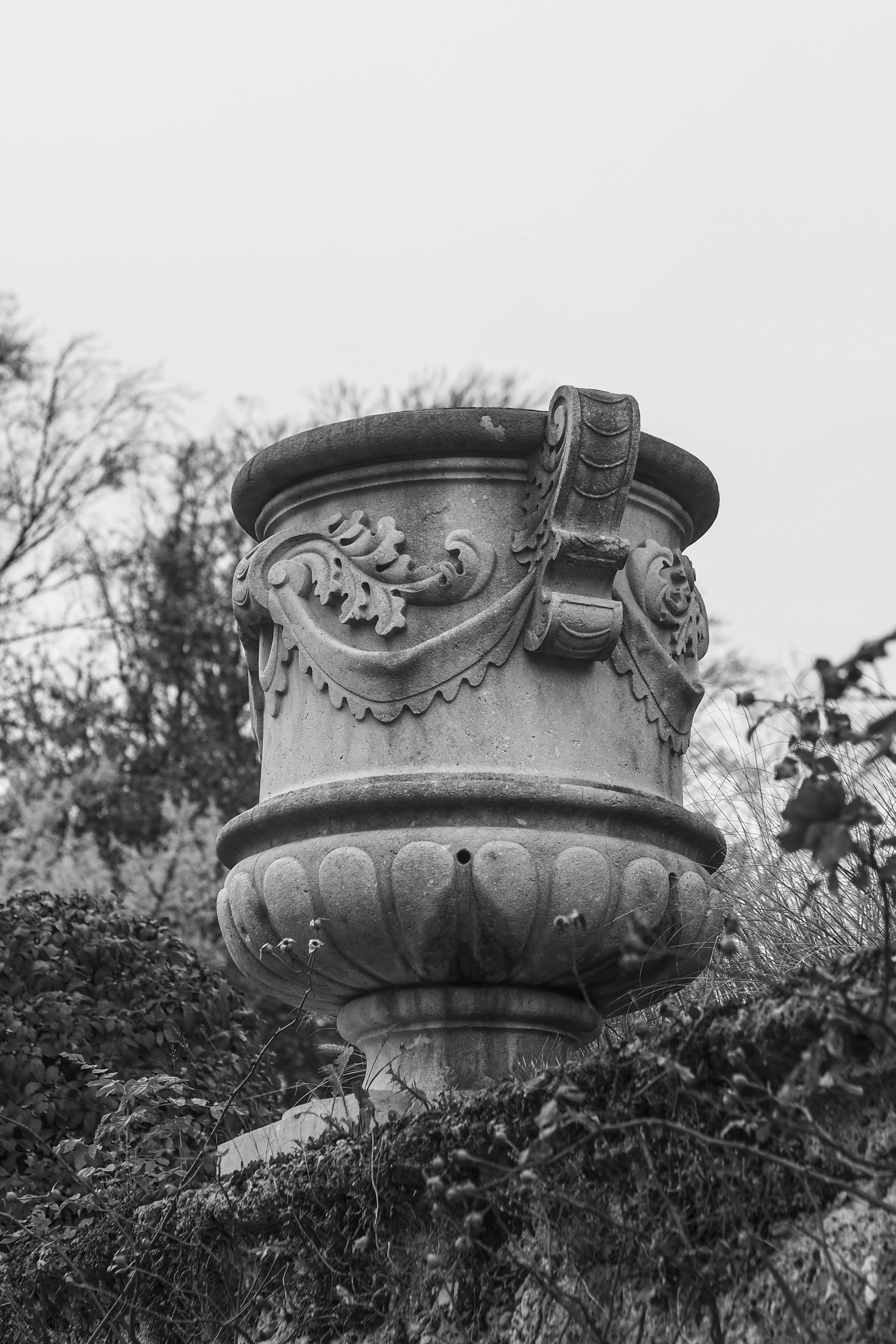 Photo by laurachouette