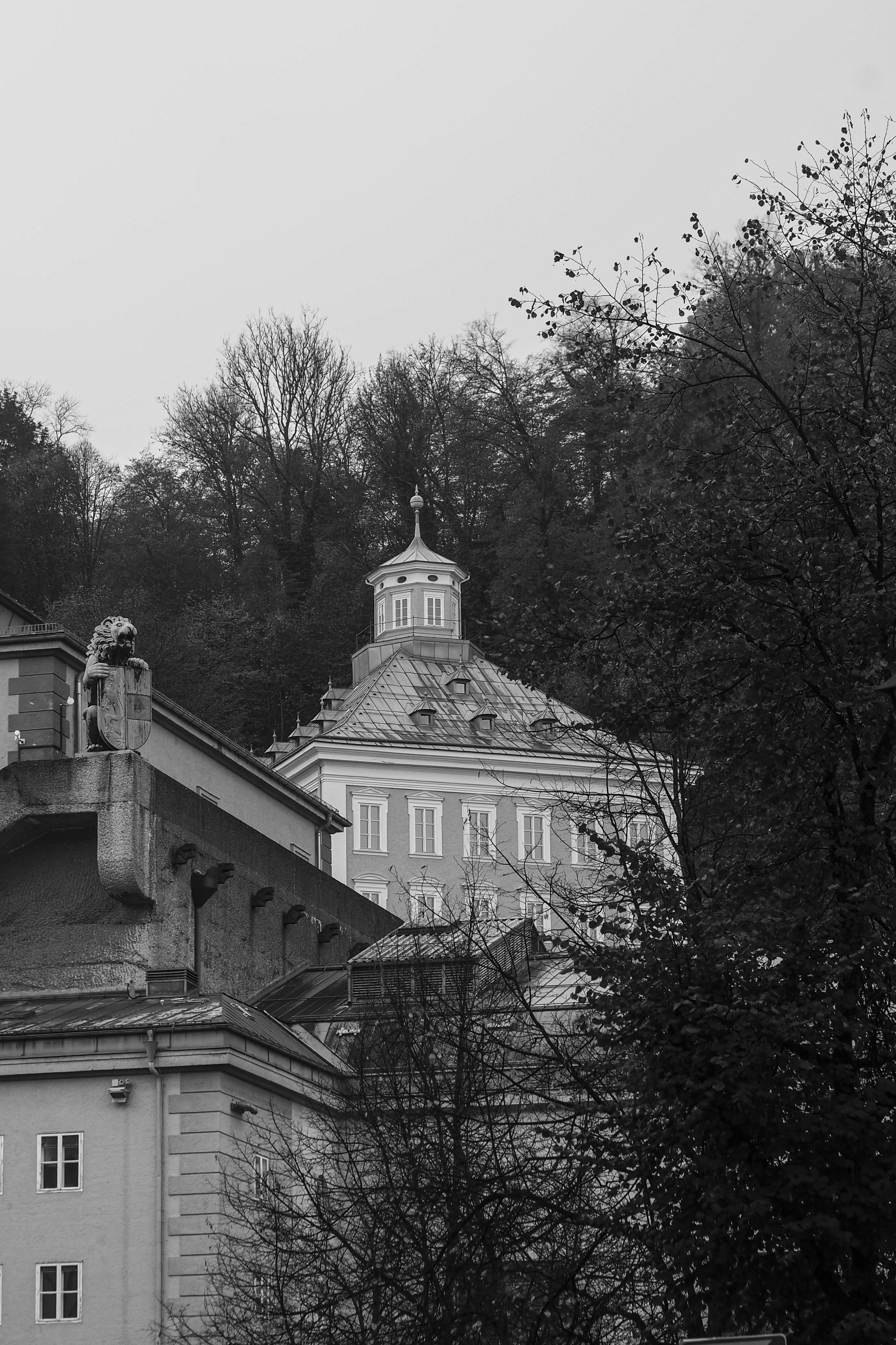 Photo by laurachouette