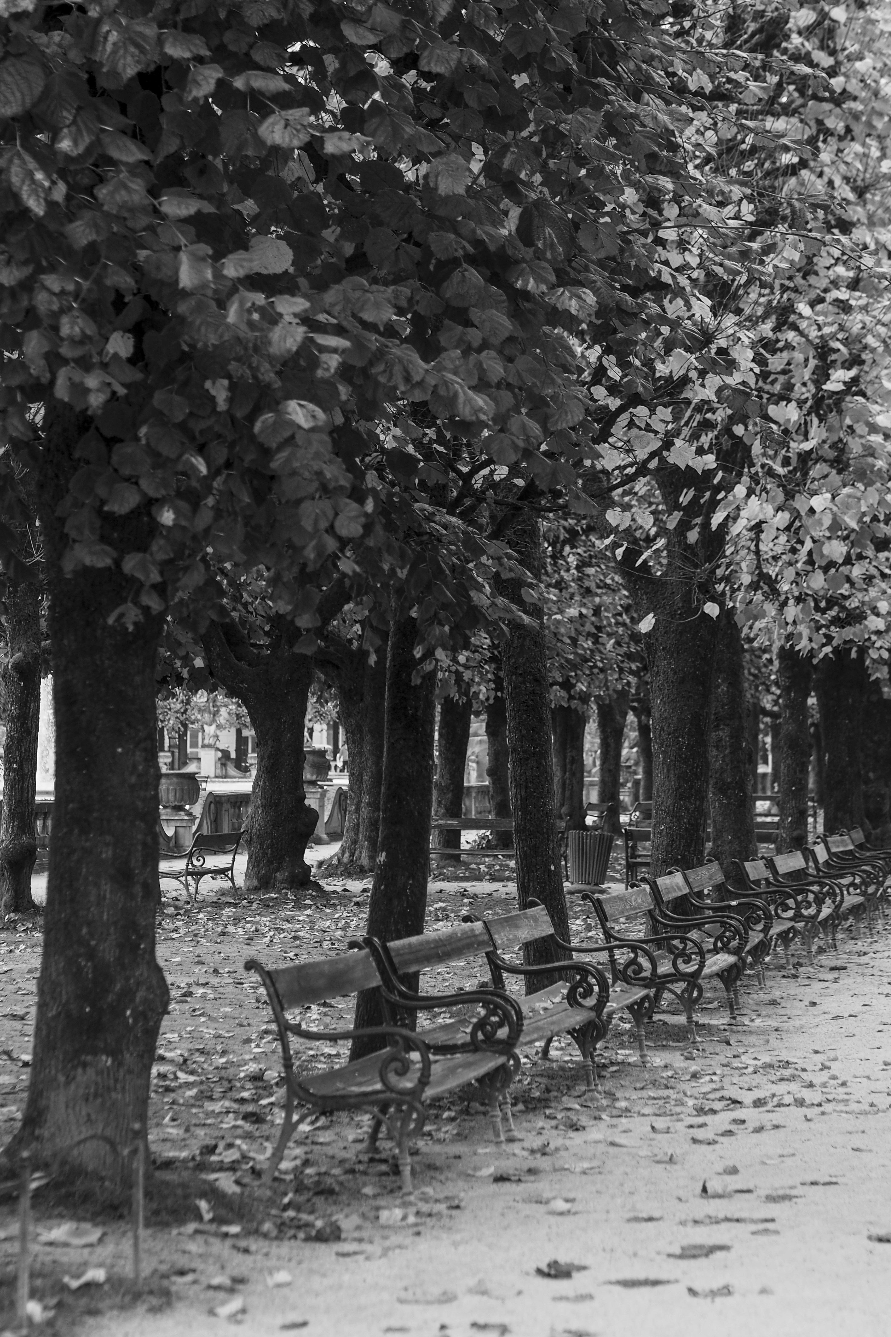 Photo by laurachouette