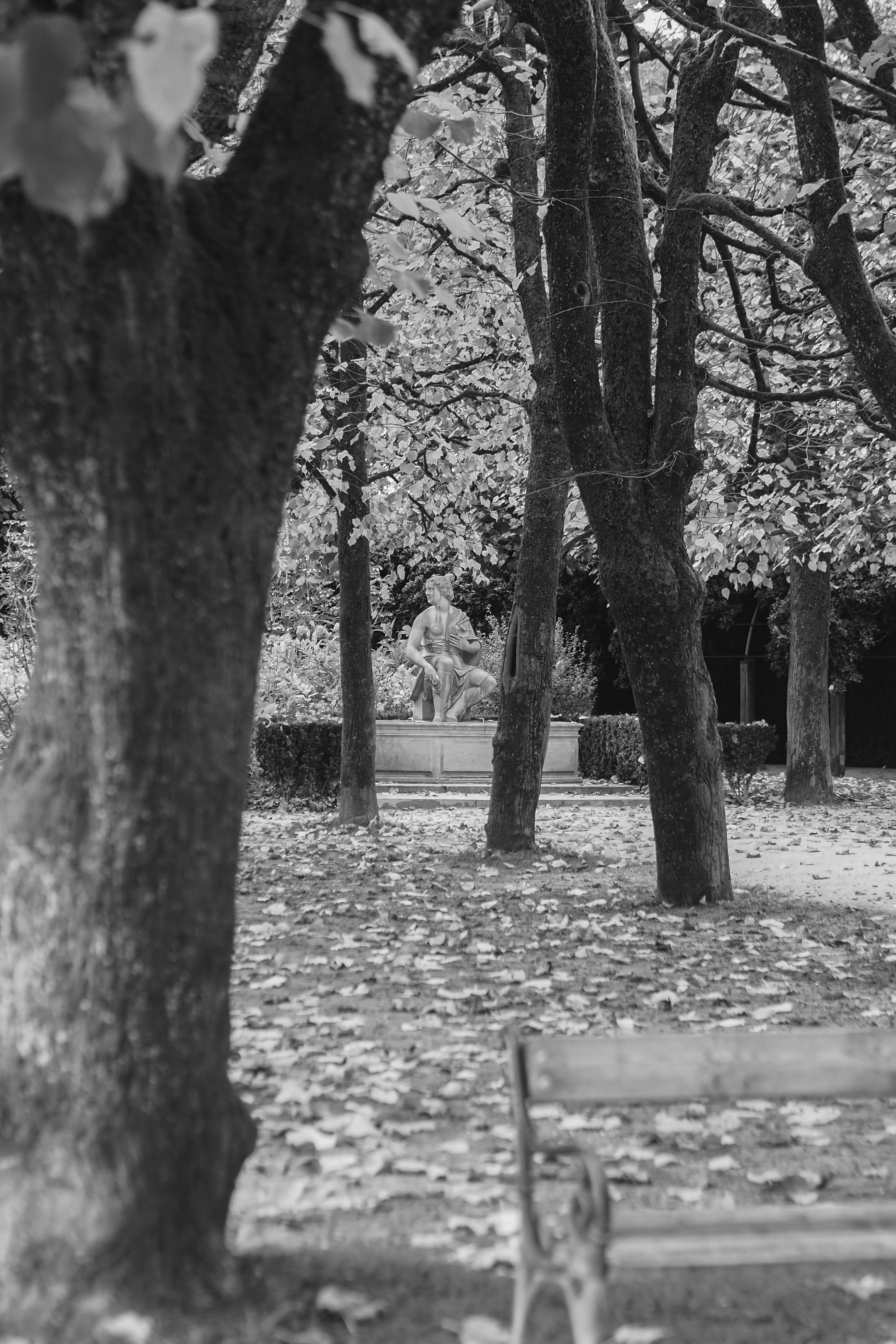 Photo by laurachouette