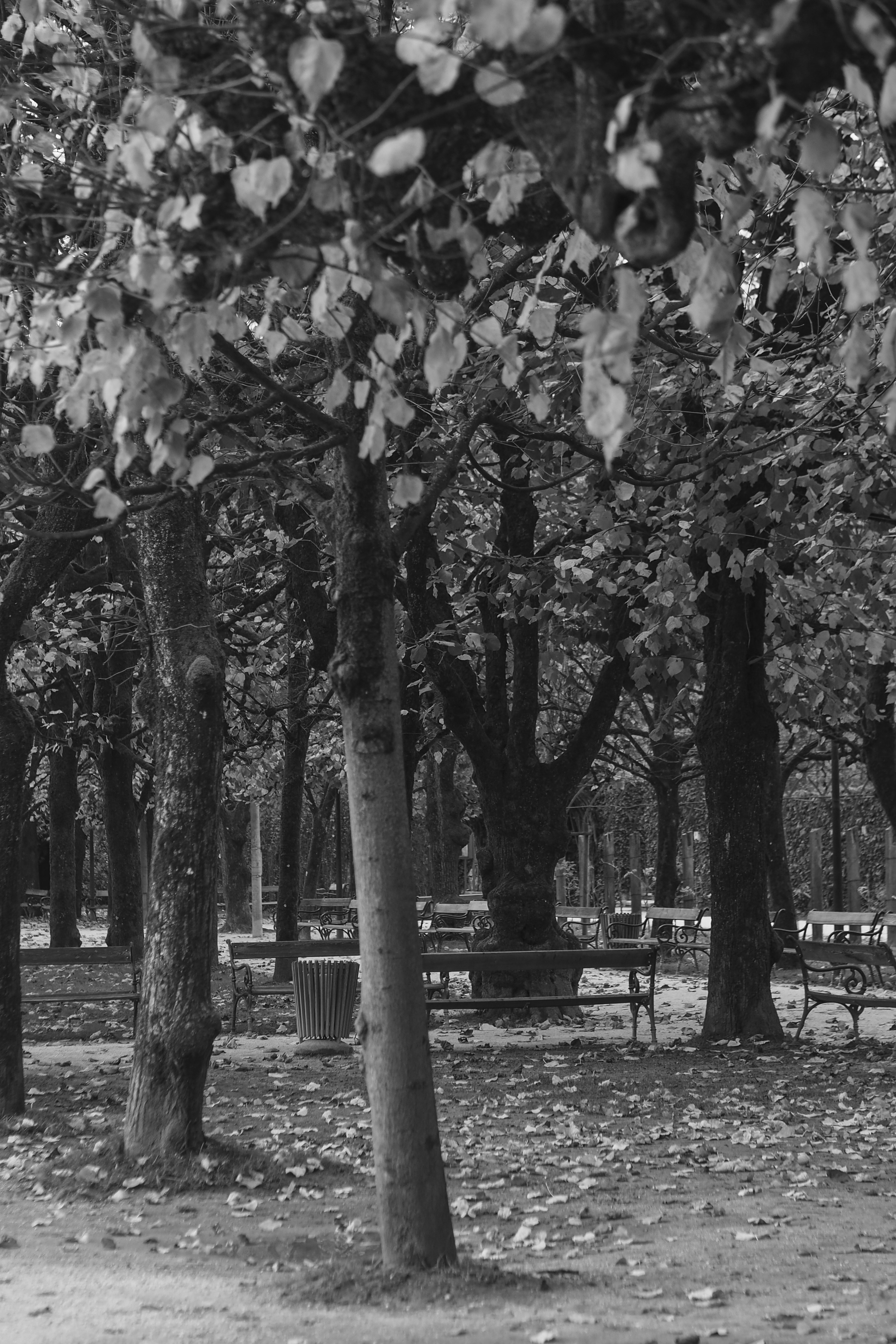 Photo by laurachouette