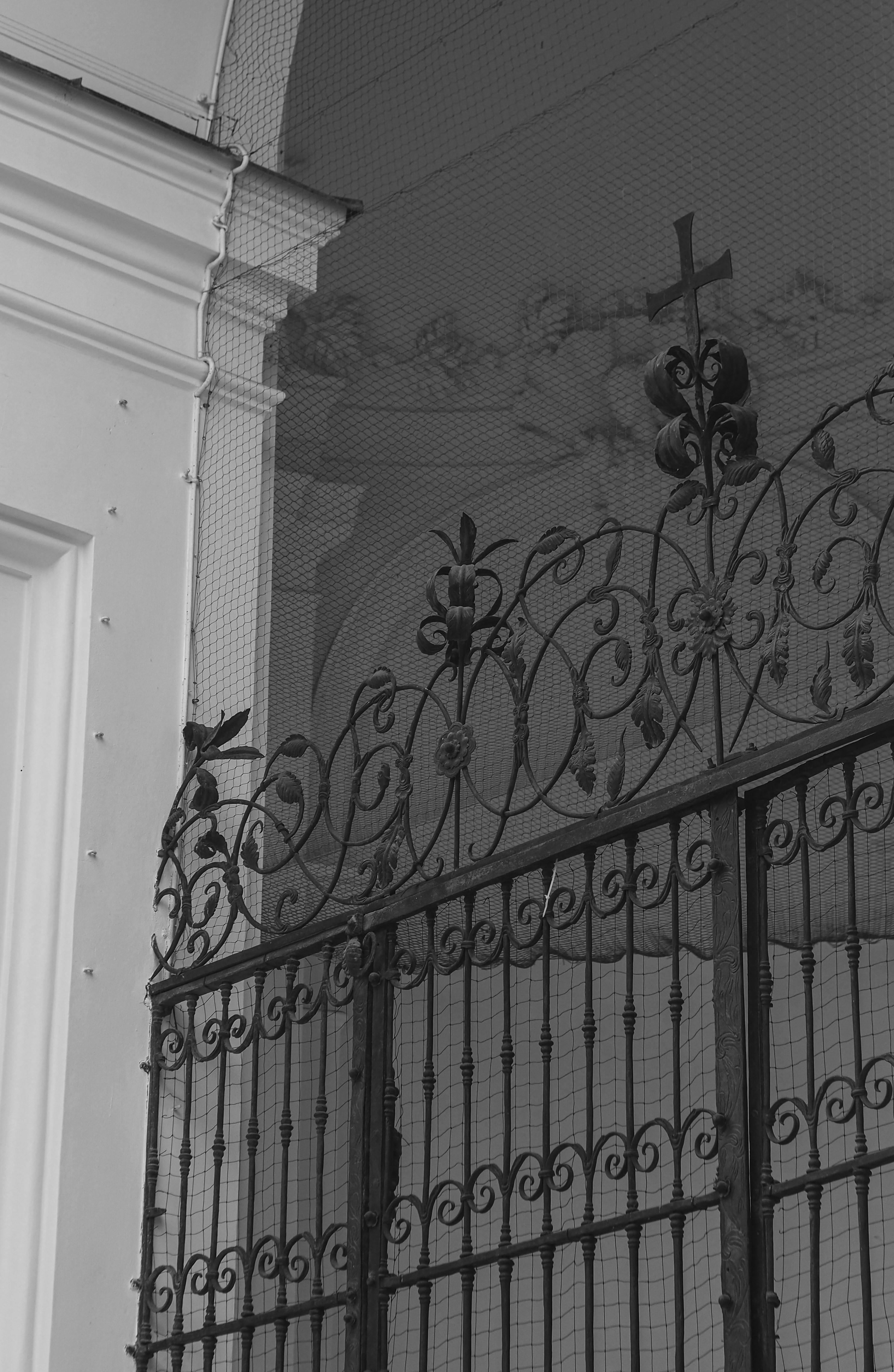 Photo by laurachouette