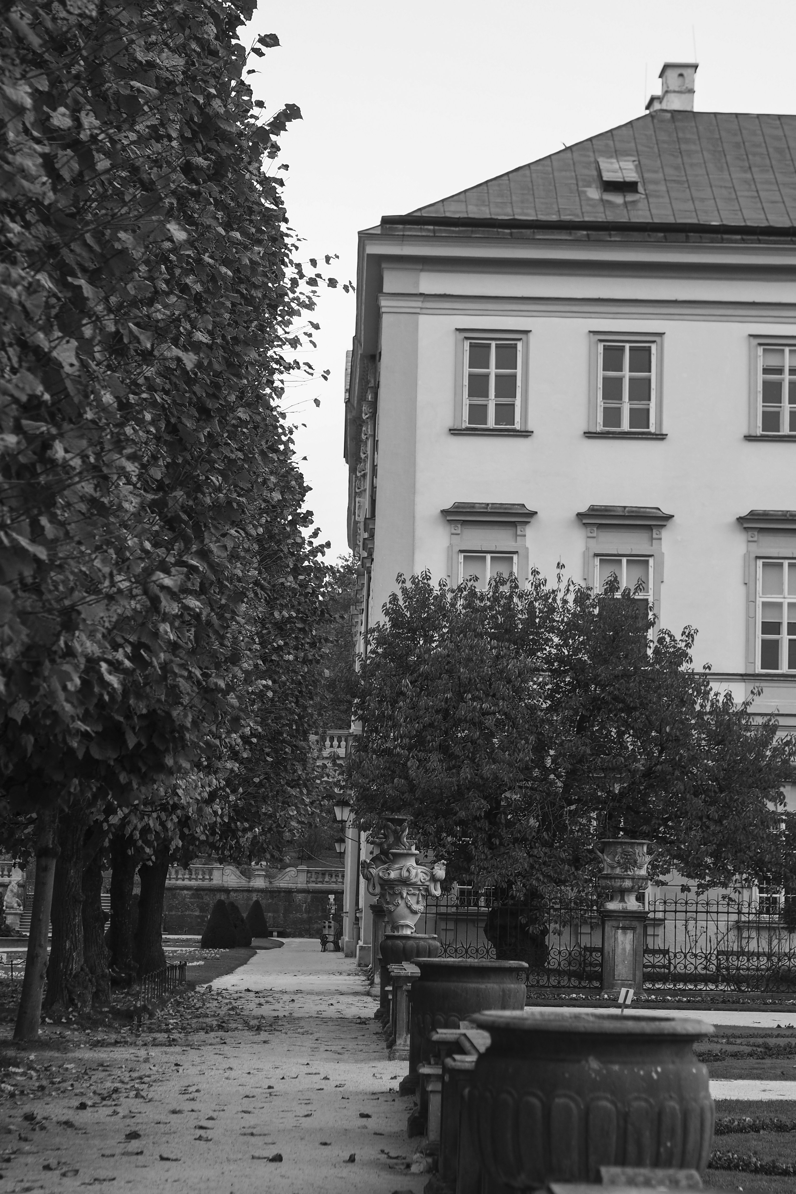 Photo by laurachouette