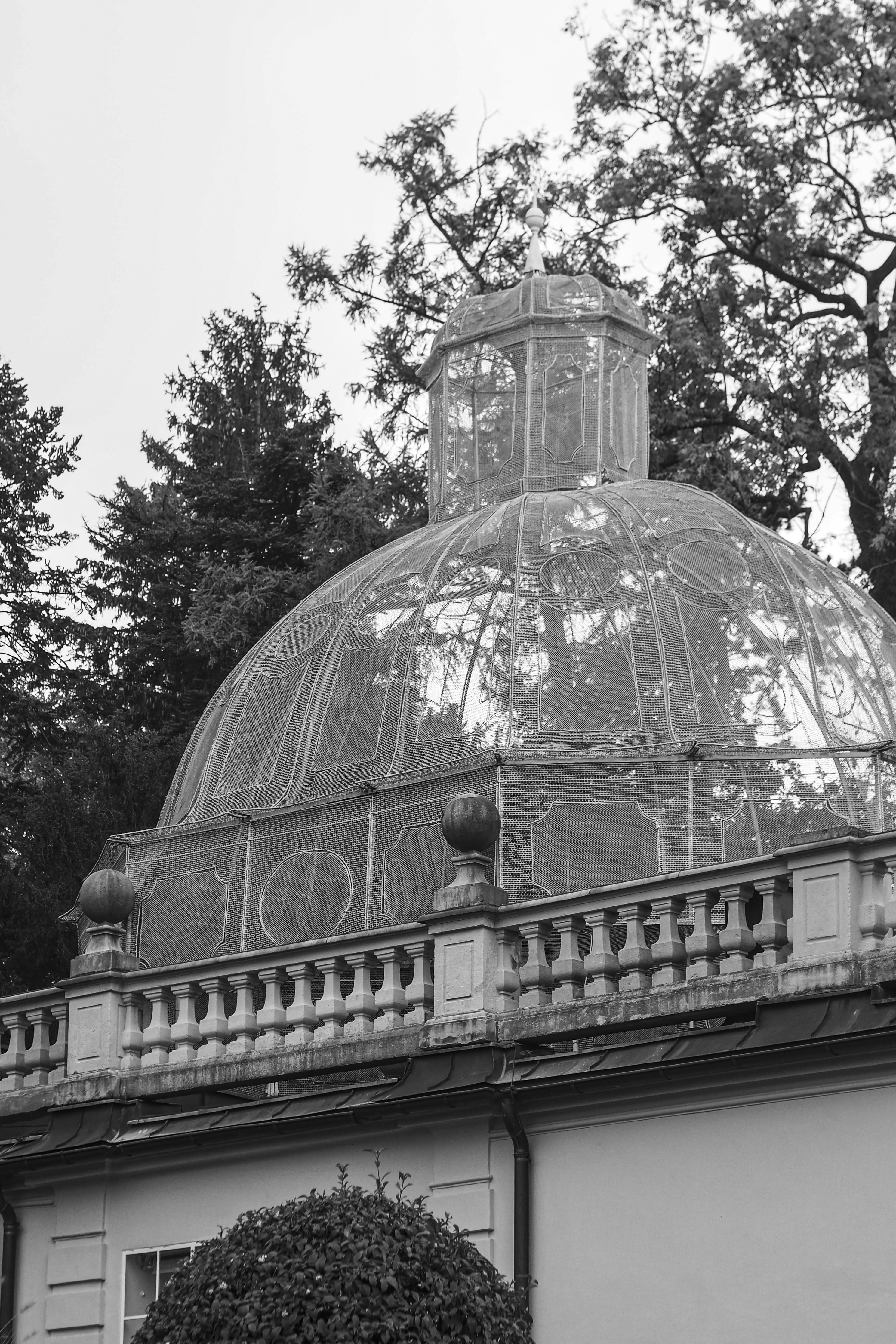 Photo by laurachouette