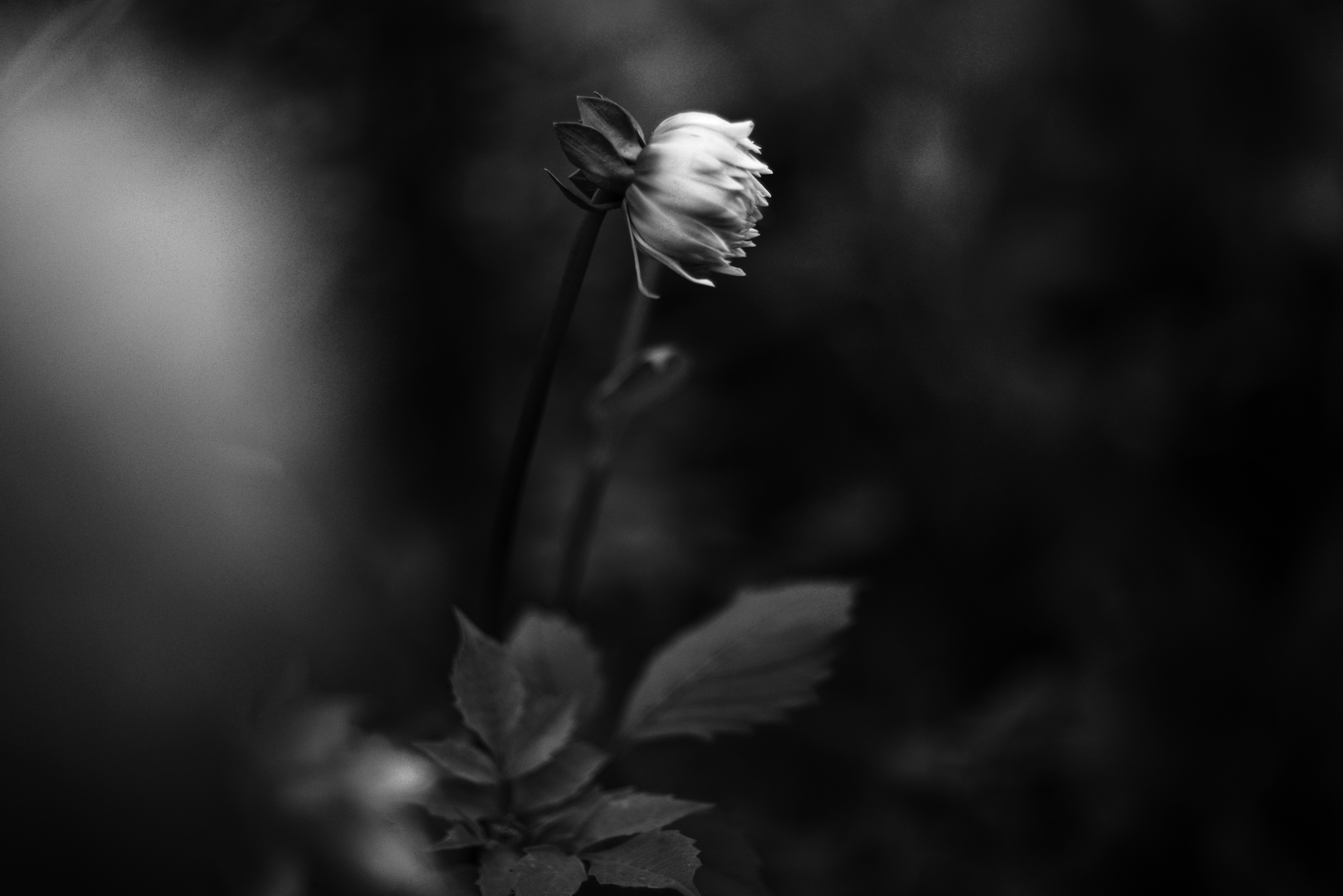 Photo by cherstve_pechivo