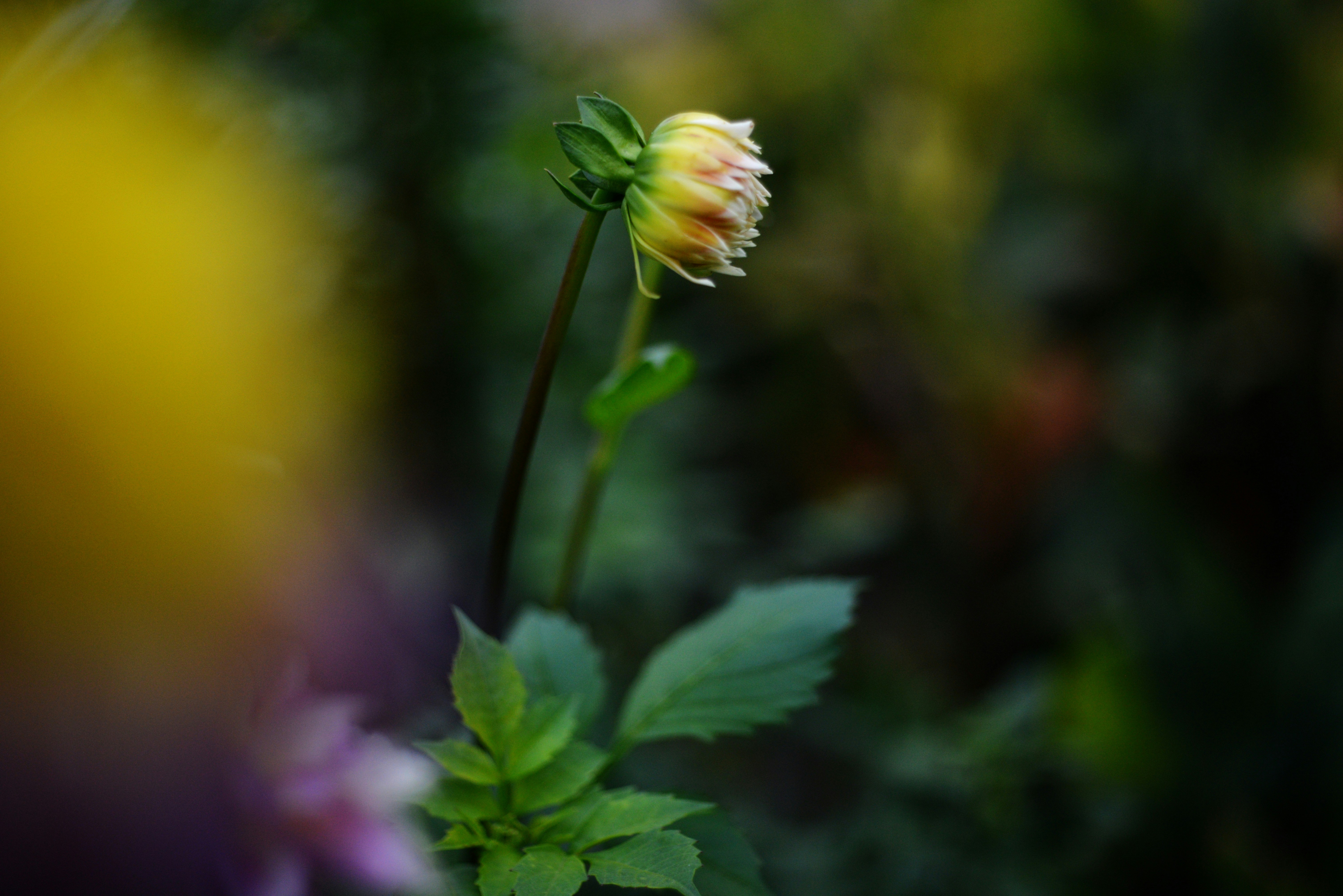 Photo by cherstve_pechivo