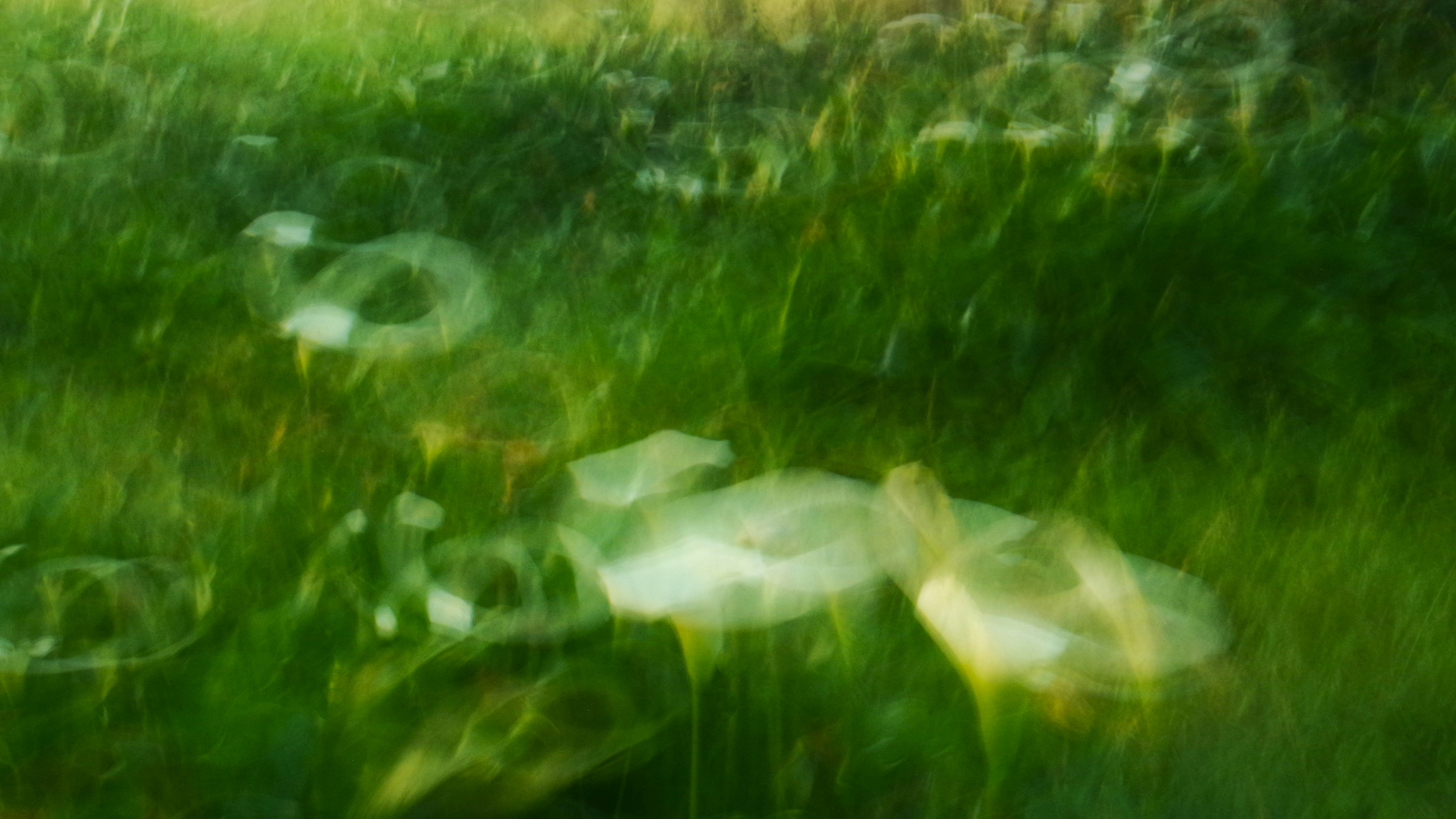 Photo by photoken123