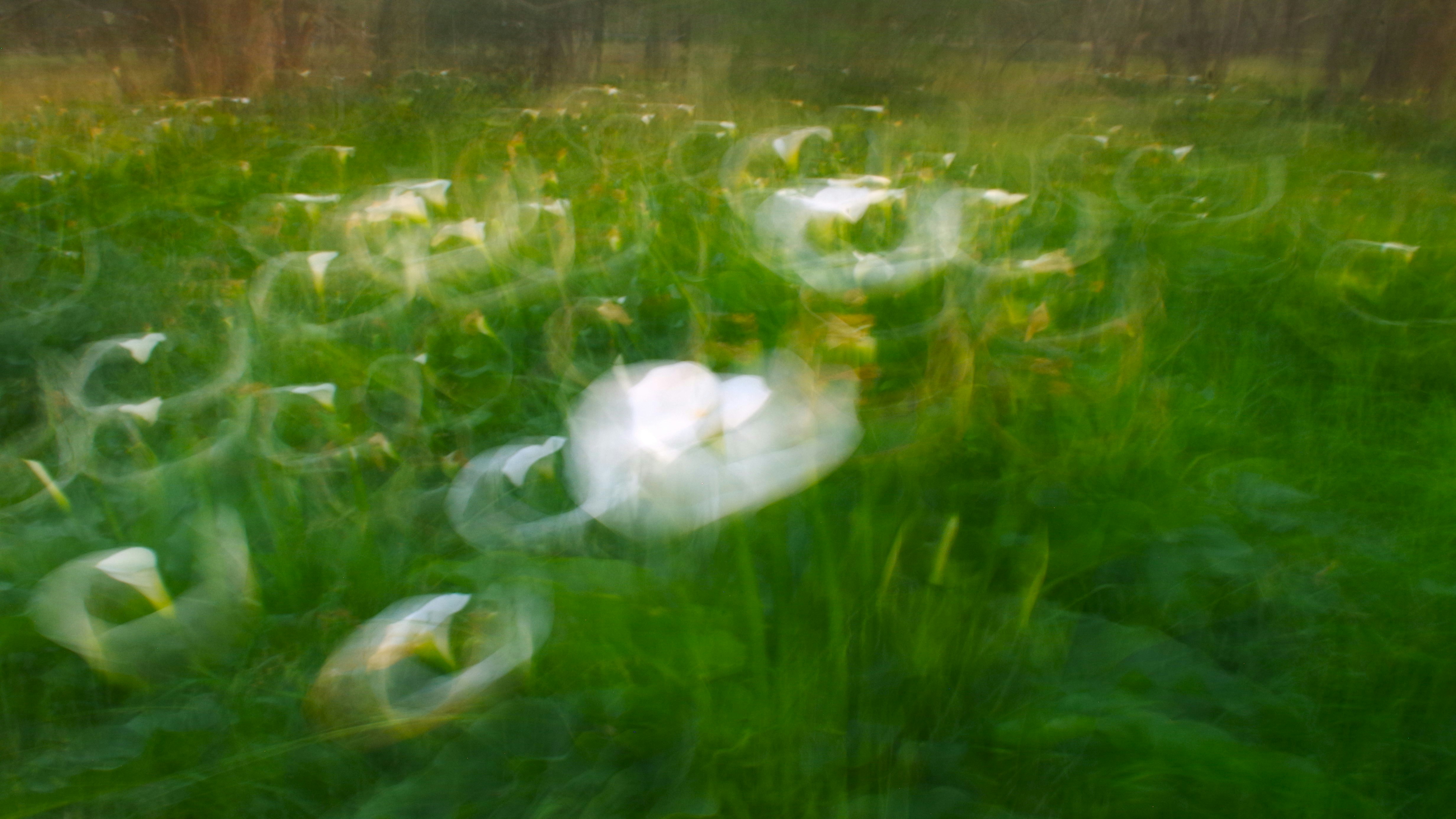 Photo by photoken123