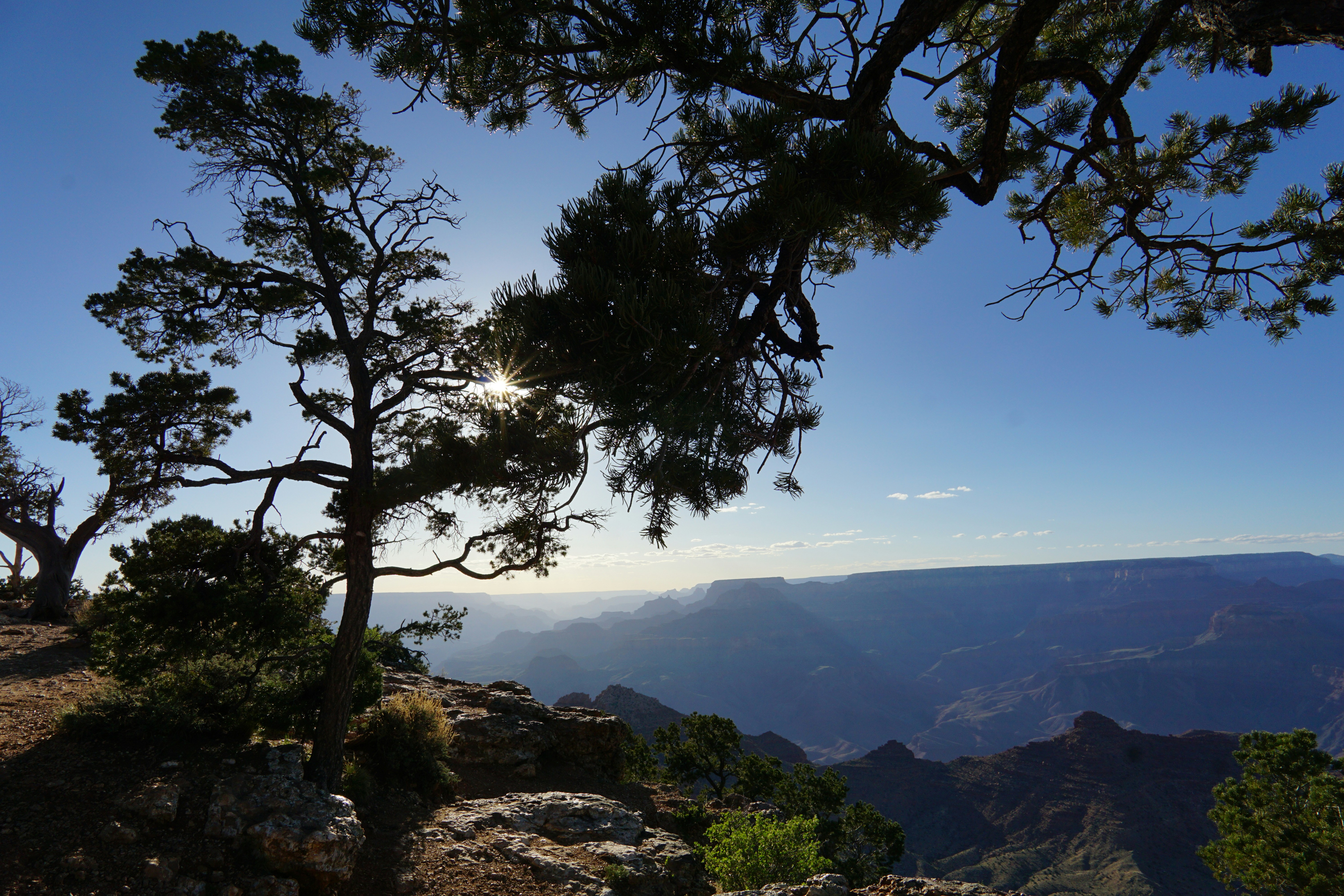 Photo of Grand Canyon Village