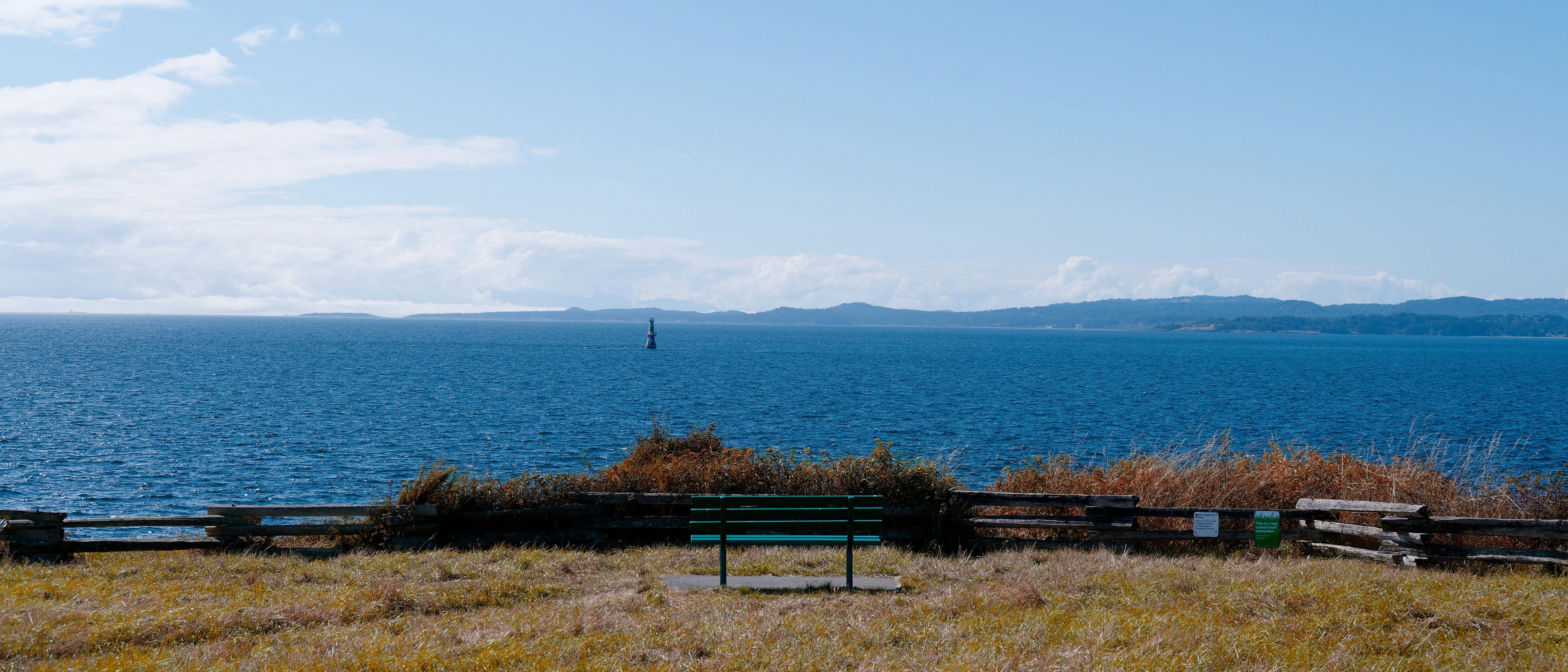 Un campo erboso vicino a uno specchio d'acqua