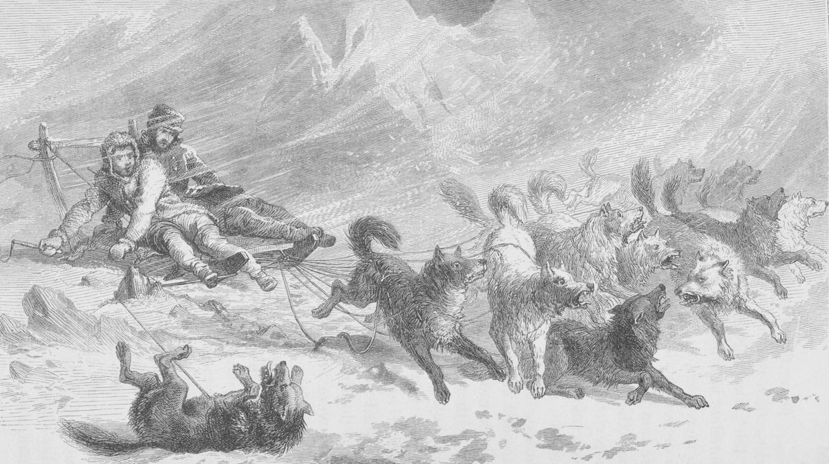 20 Norse Mythology Names With Ancient Meanings