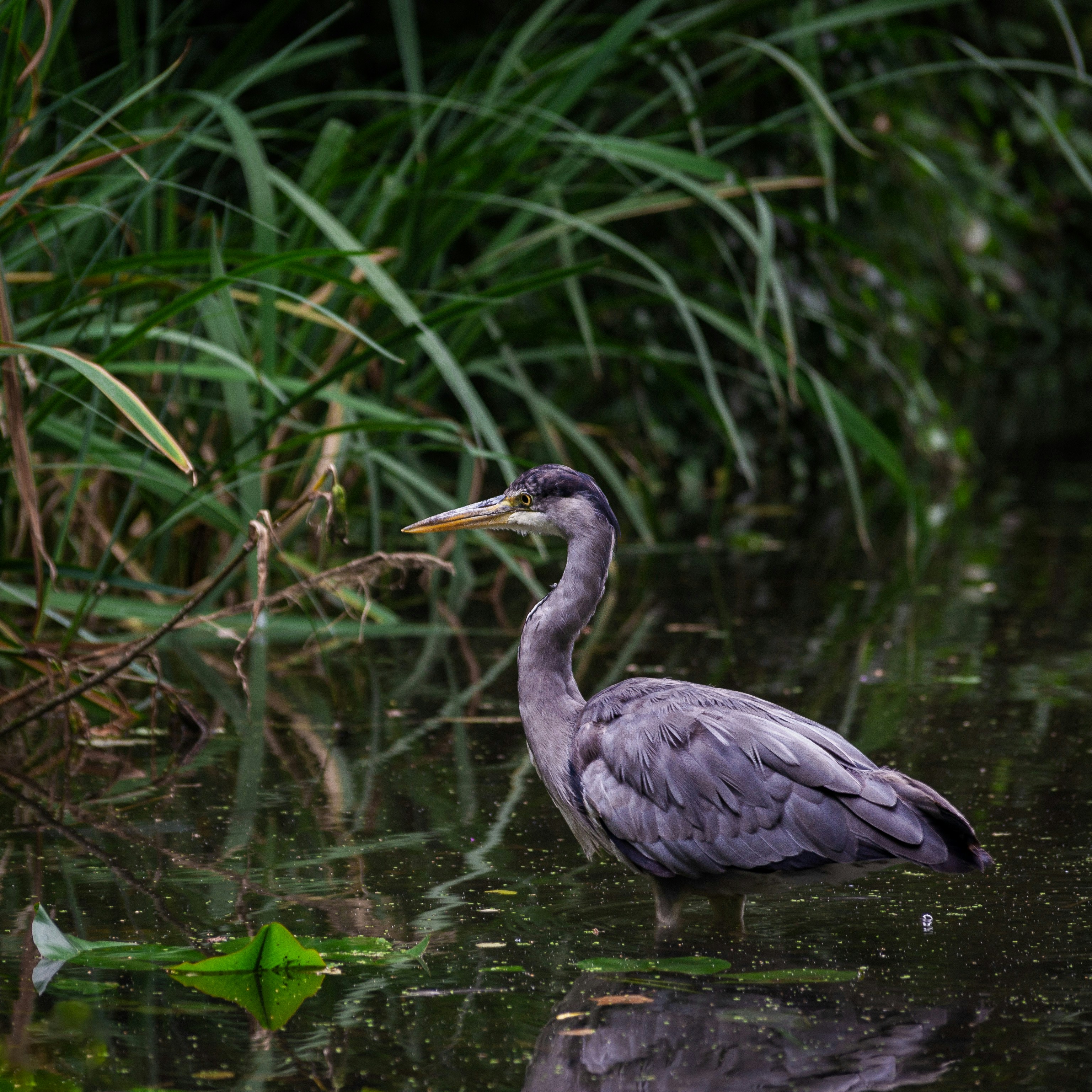 Photo by kaviz_photographic