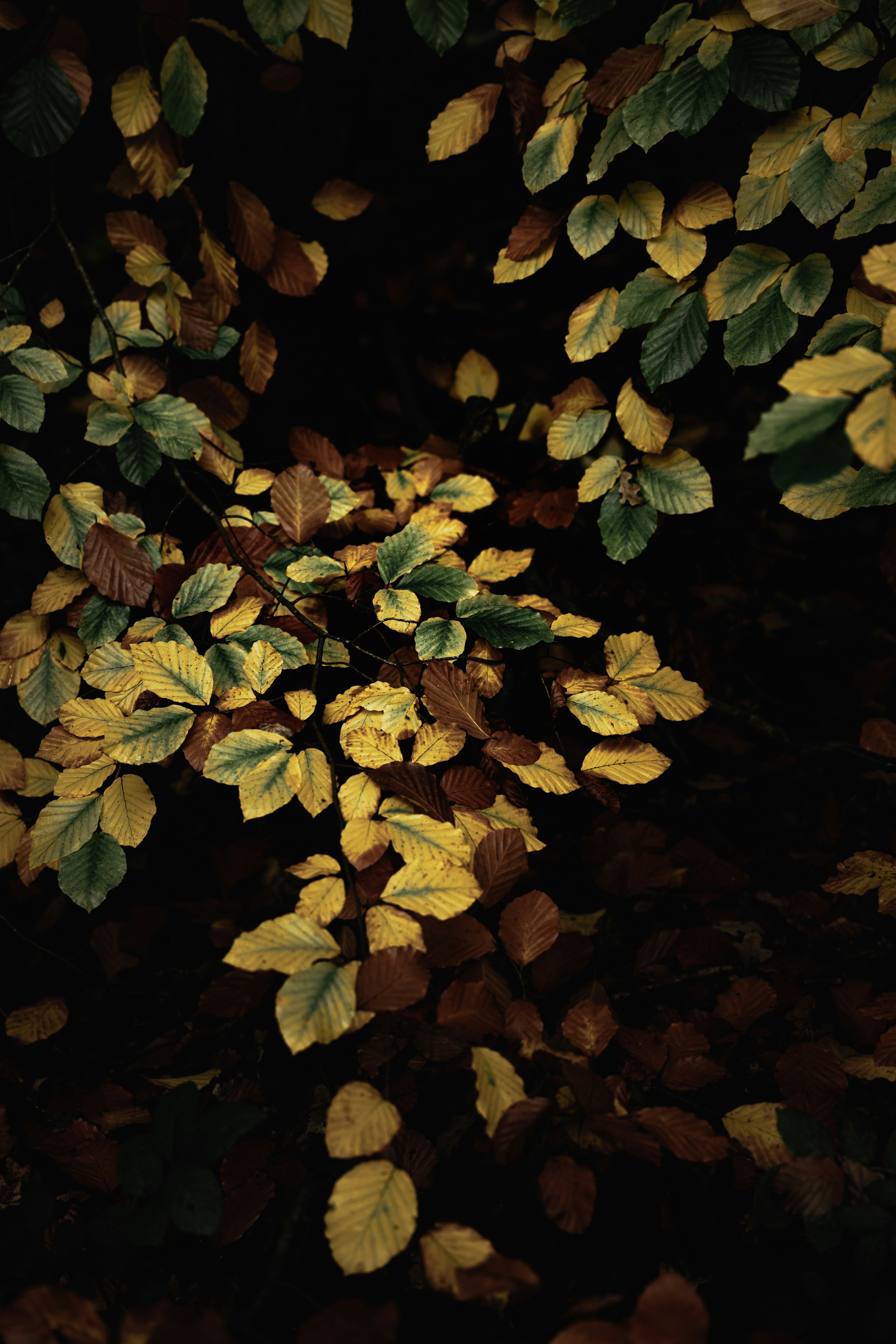 Photo by alexisnthere_