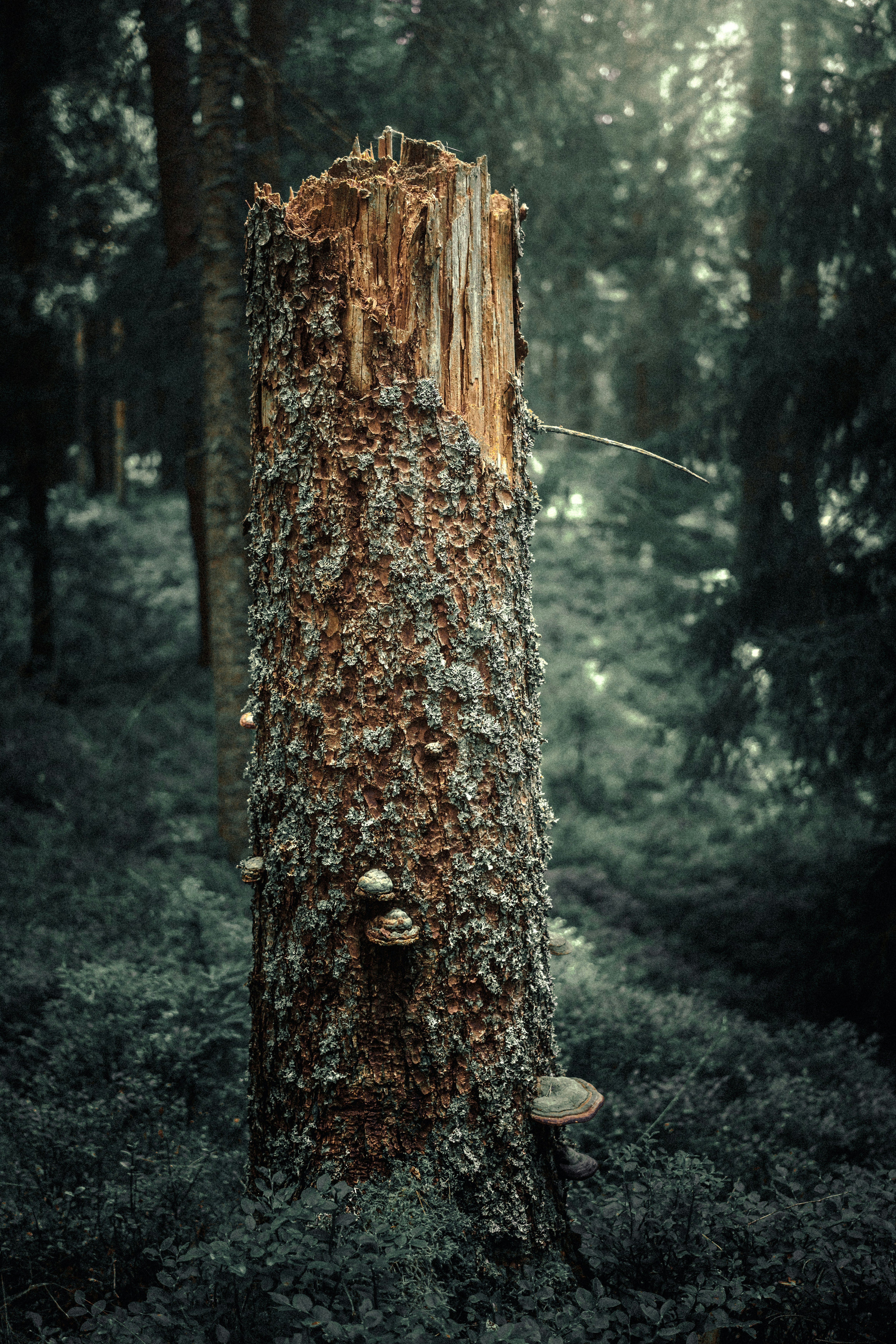 Photo by alexisnthere_