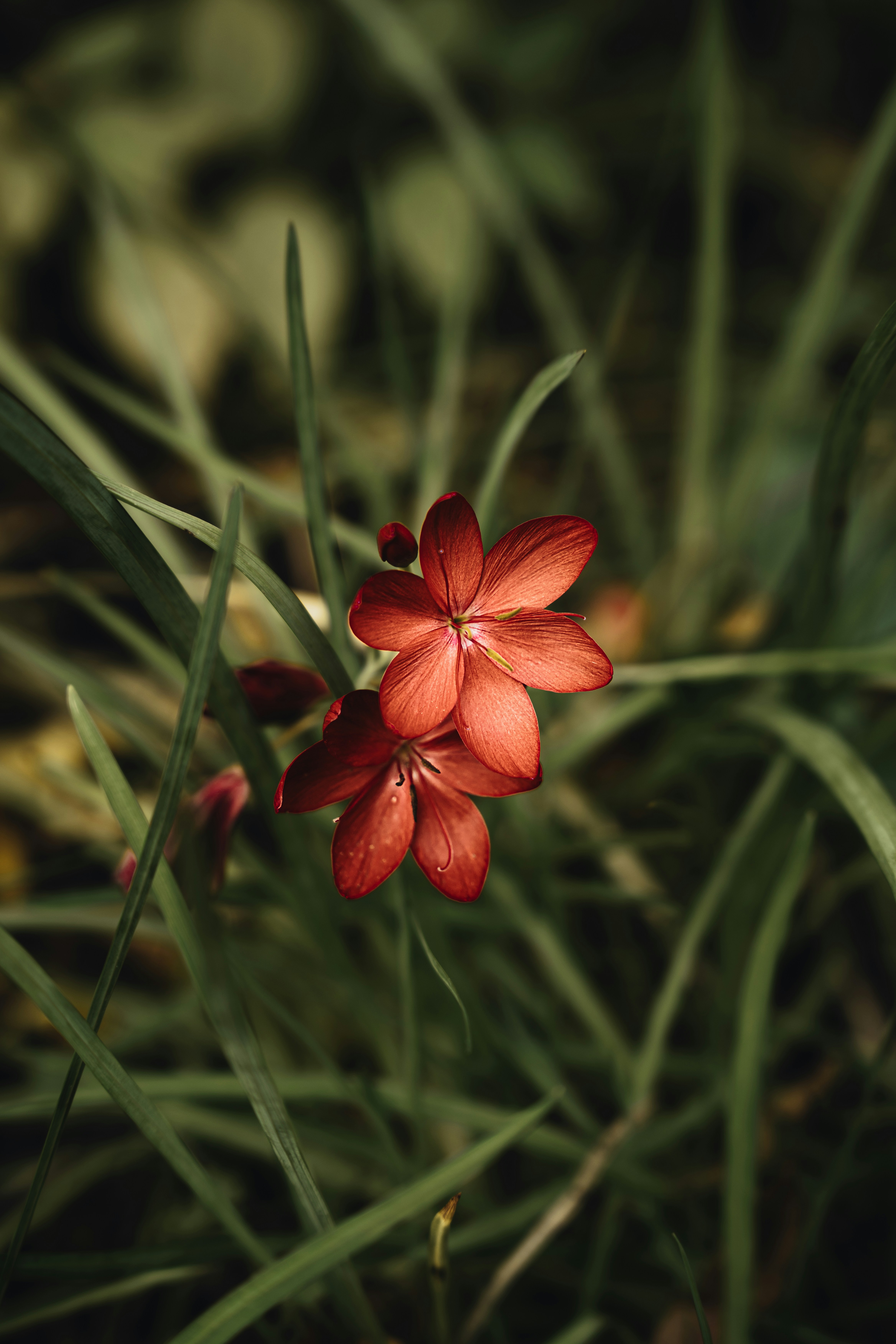 Photo by alexisnthere_