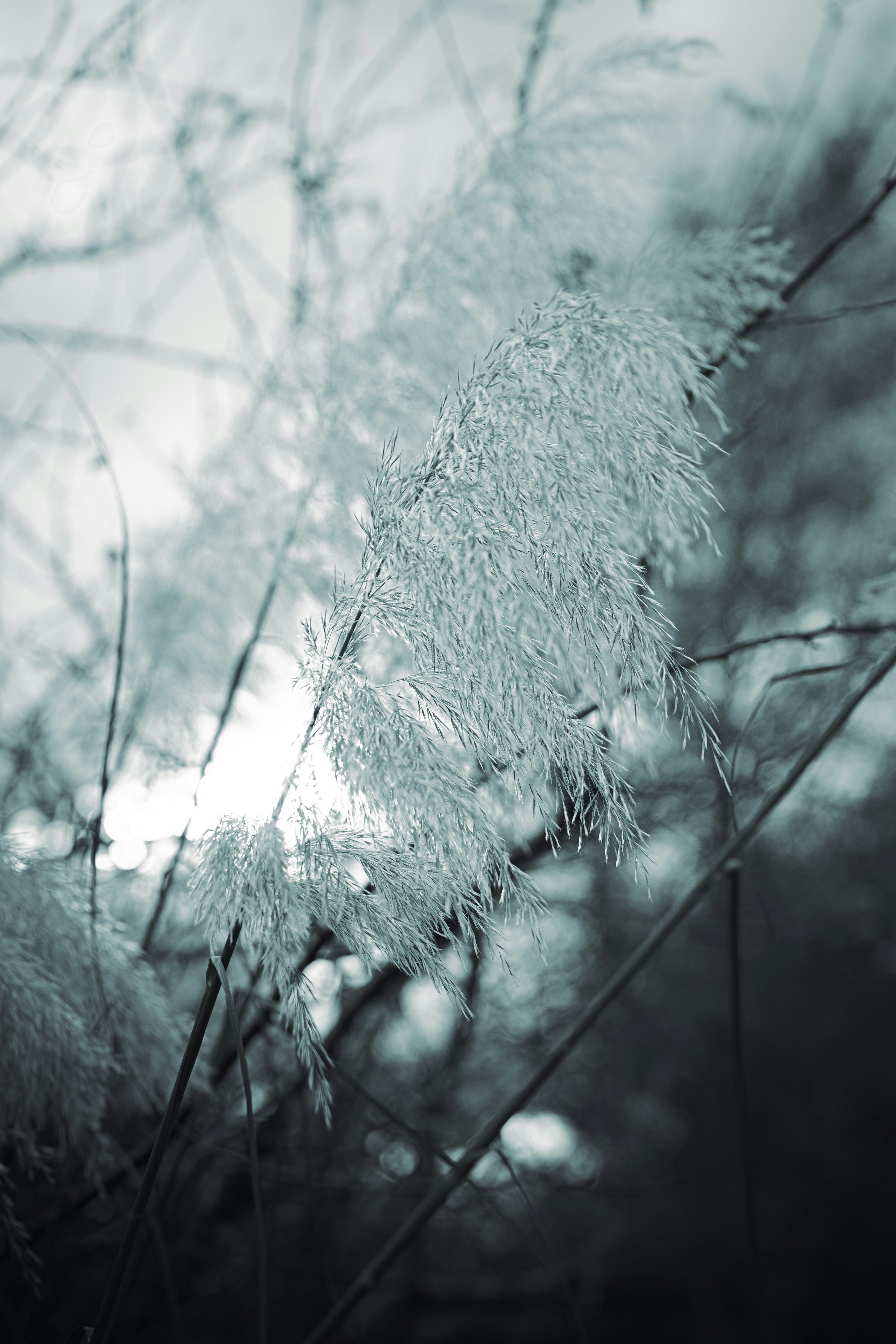 Photo by alexisnthere_