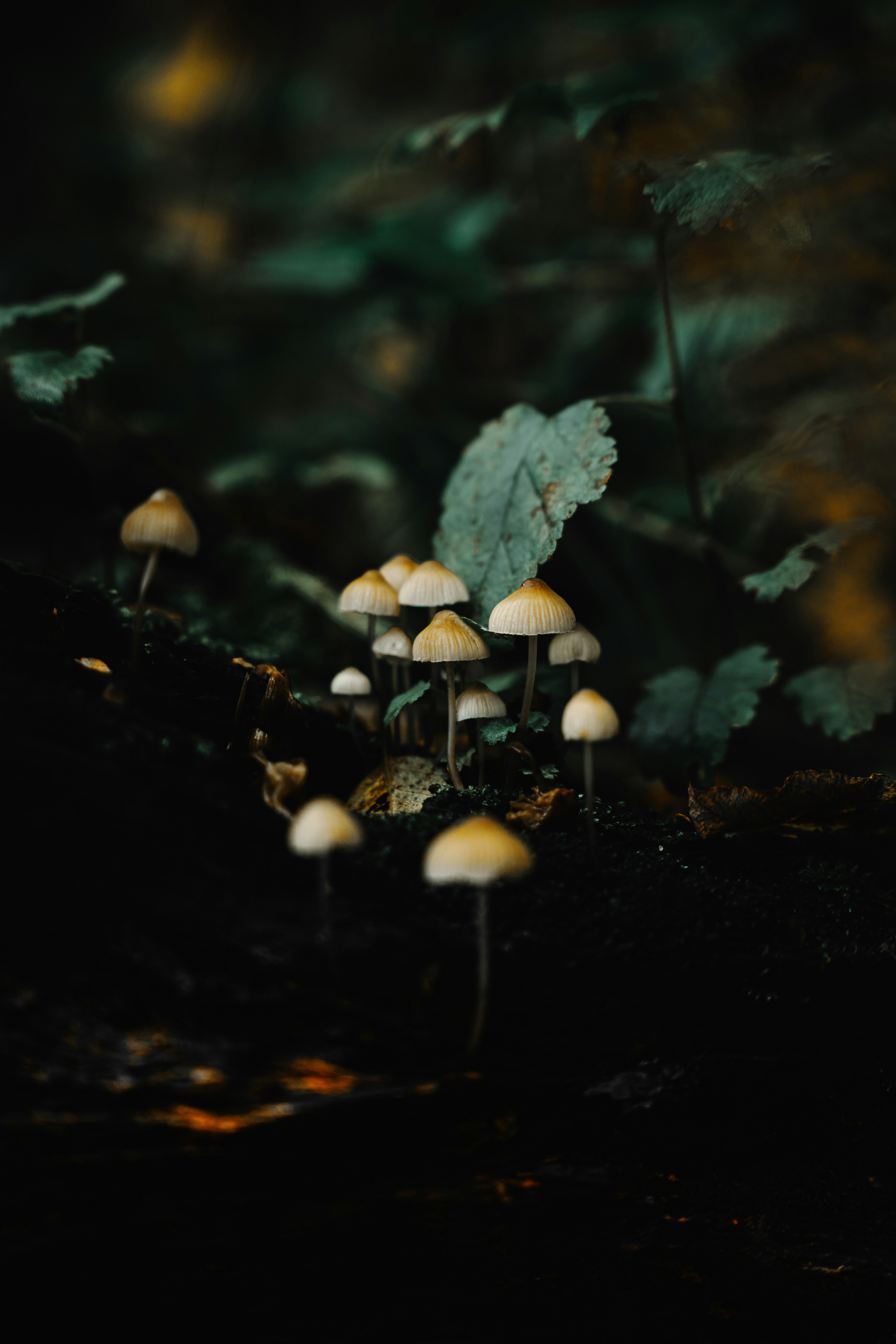 Photo by alexisnthere_