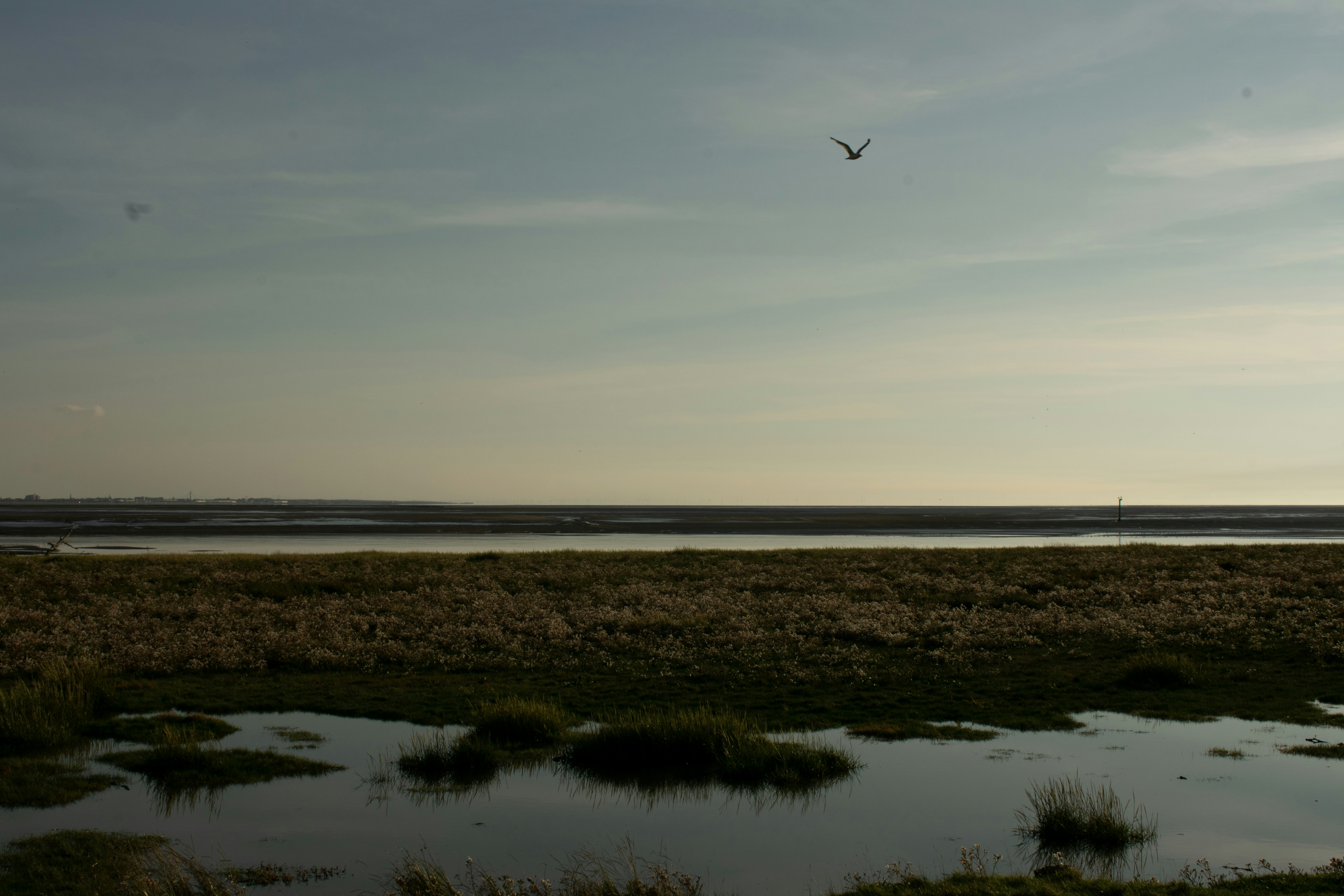 Photo by poppy_waddington