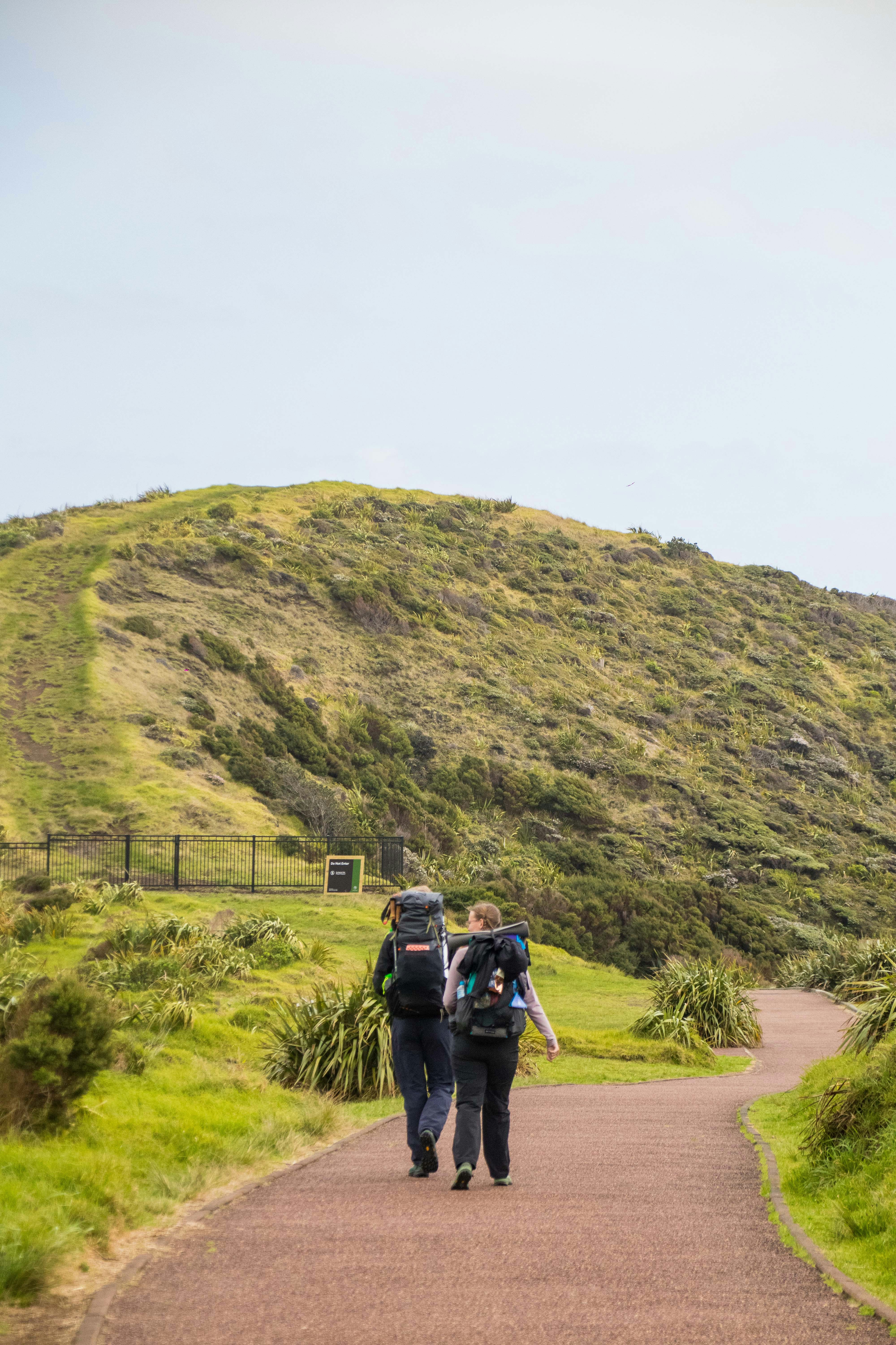 Dining in the Wild: Food Budget Realities