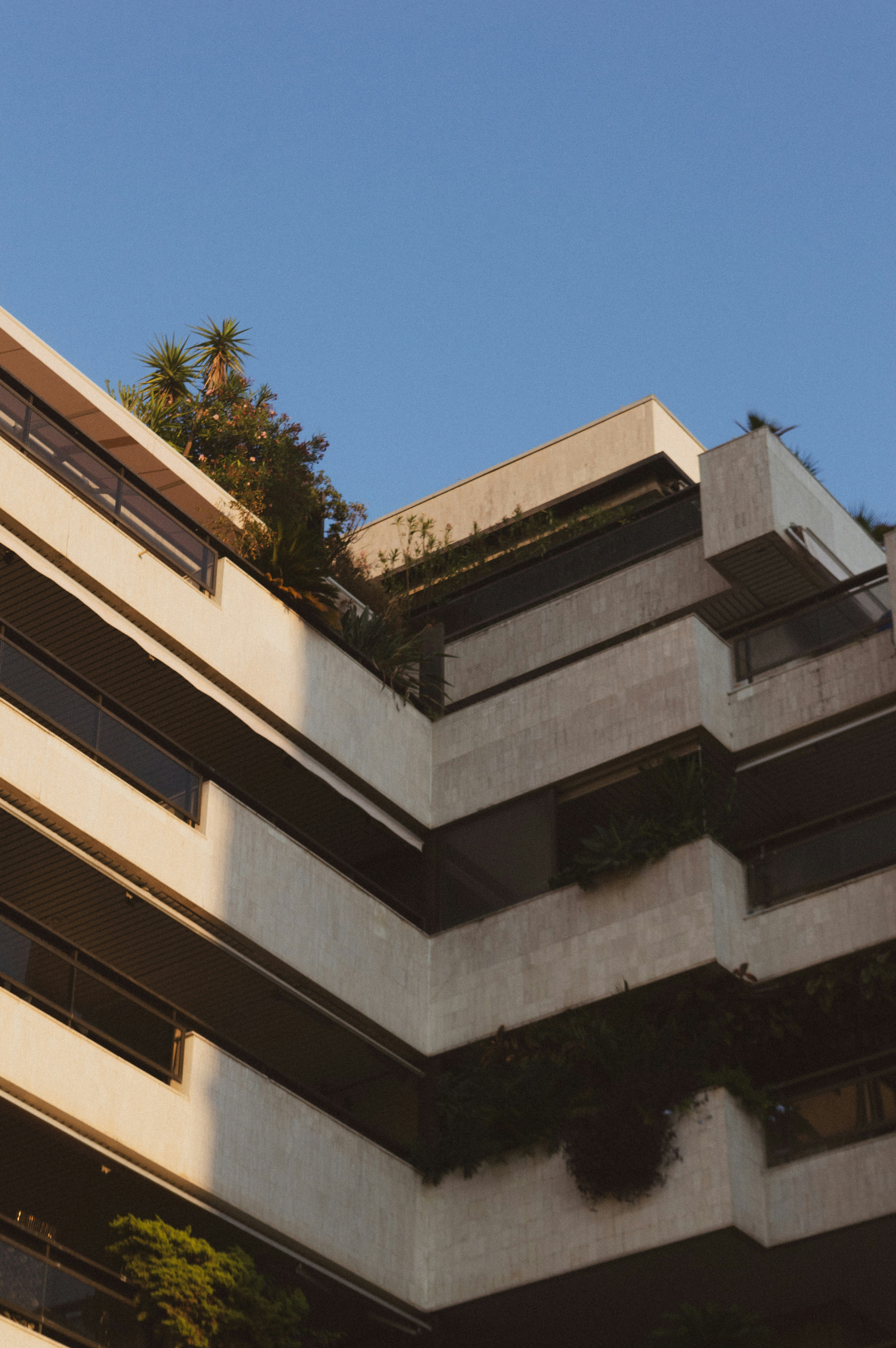 Photo by christopher_lafl