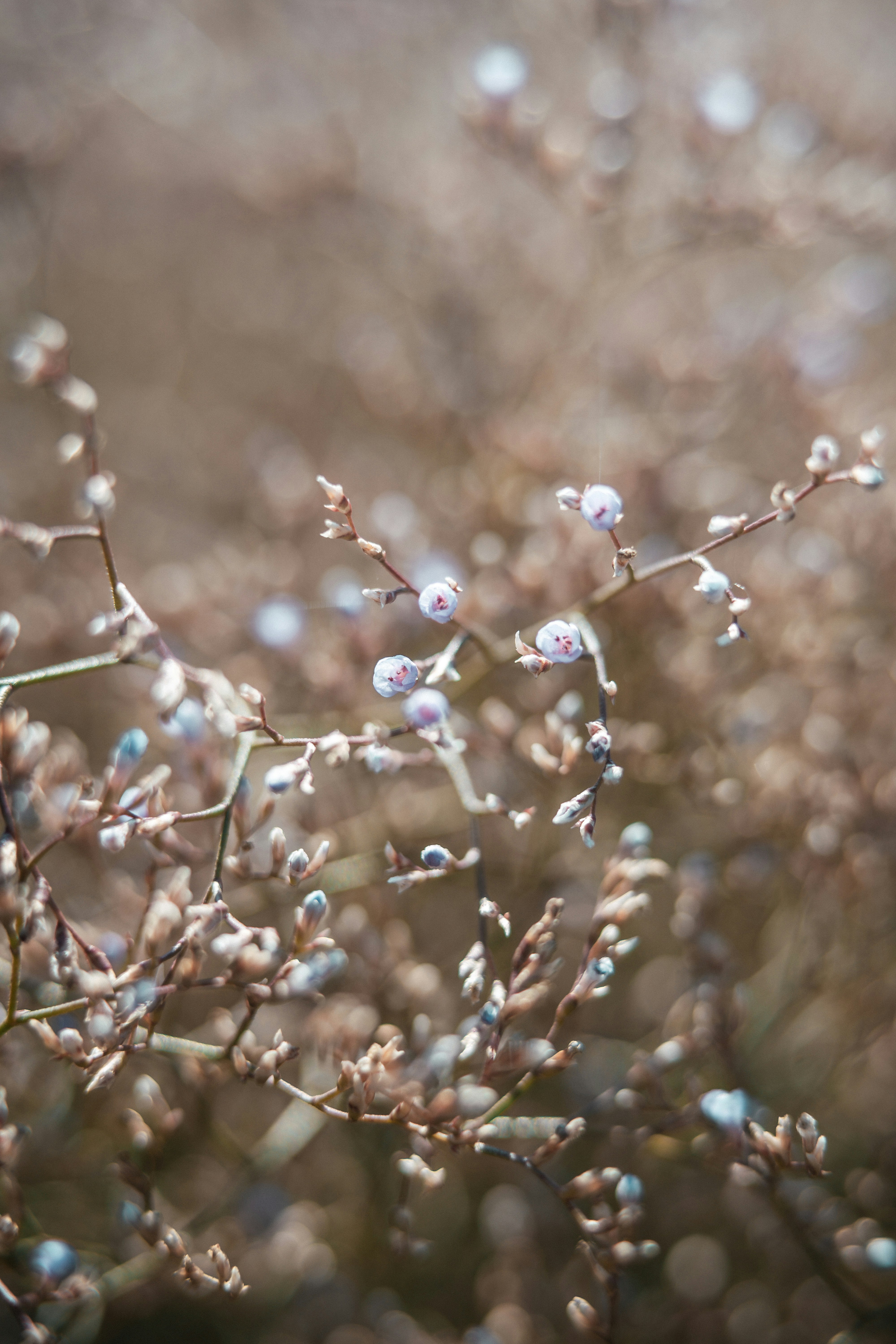 Photo by anamnesis33