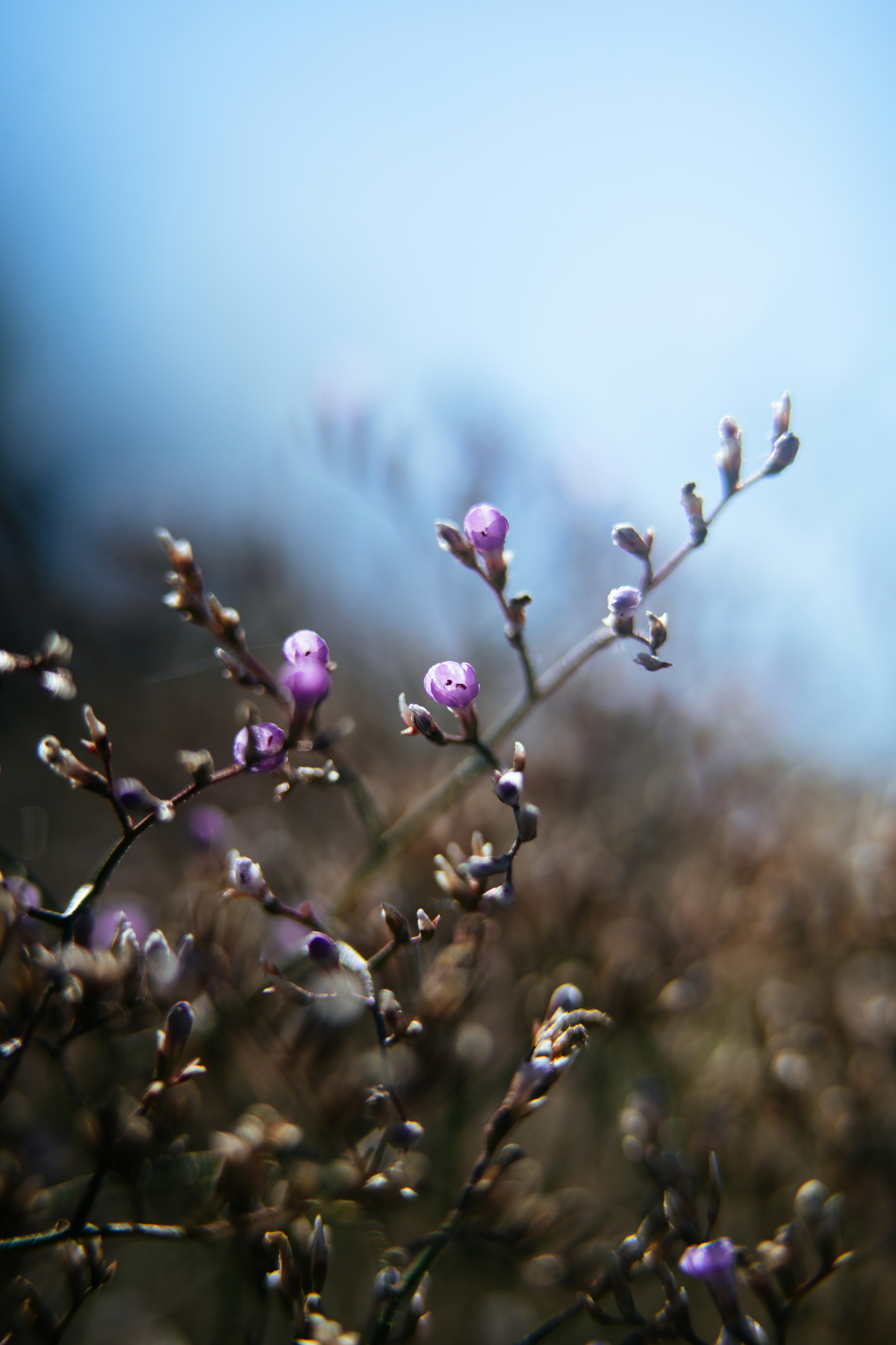 Photo by anamnesis33