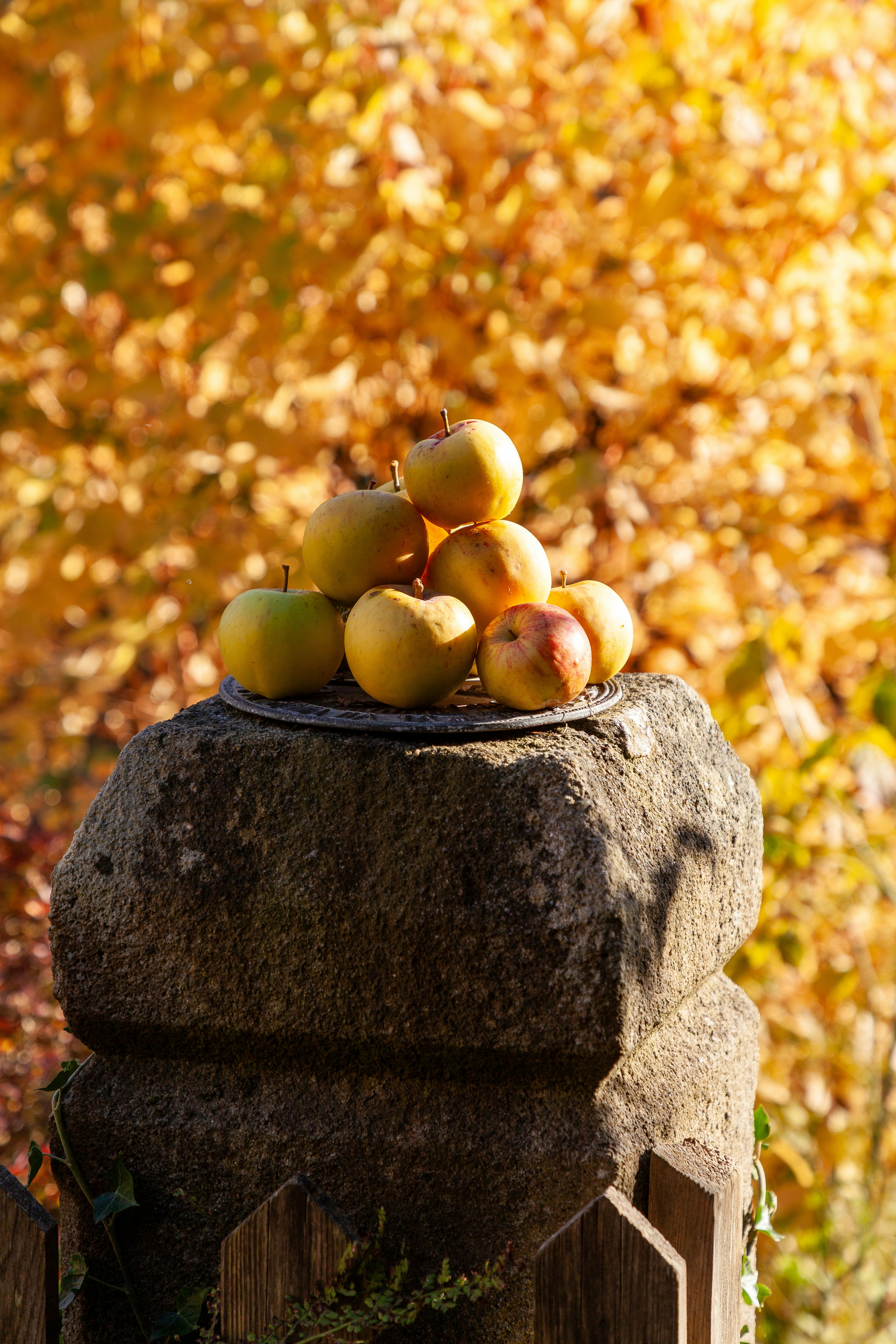 Un montón de fruta encima de una roca
