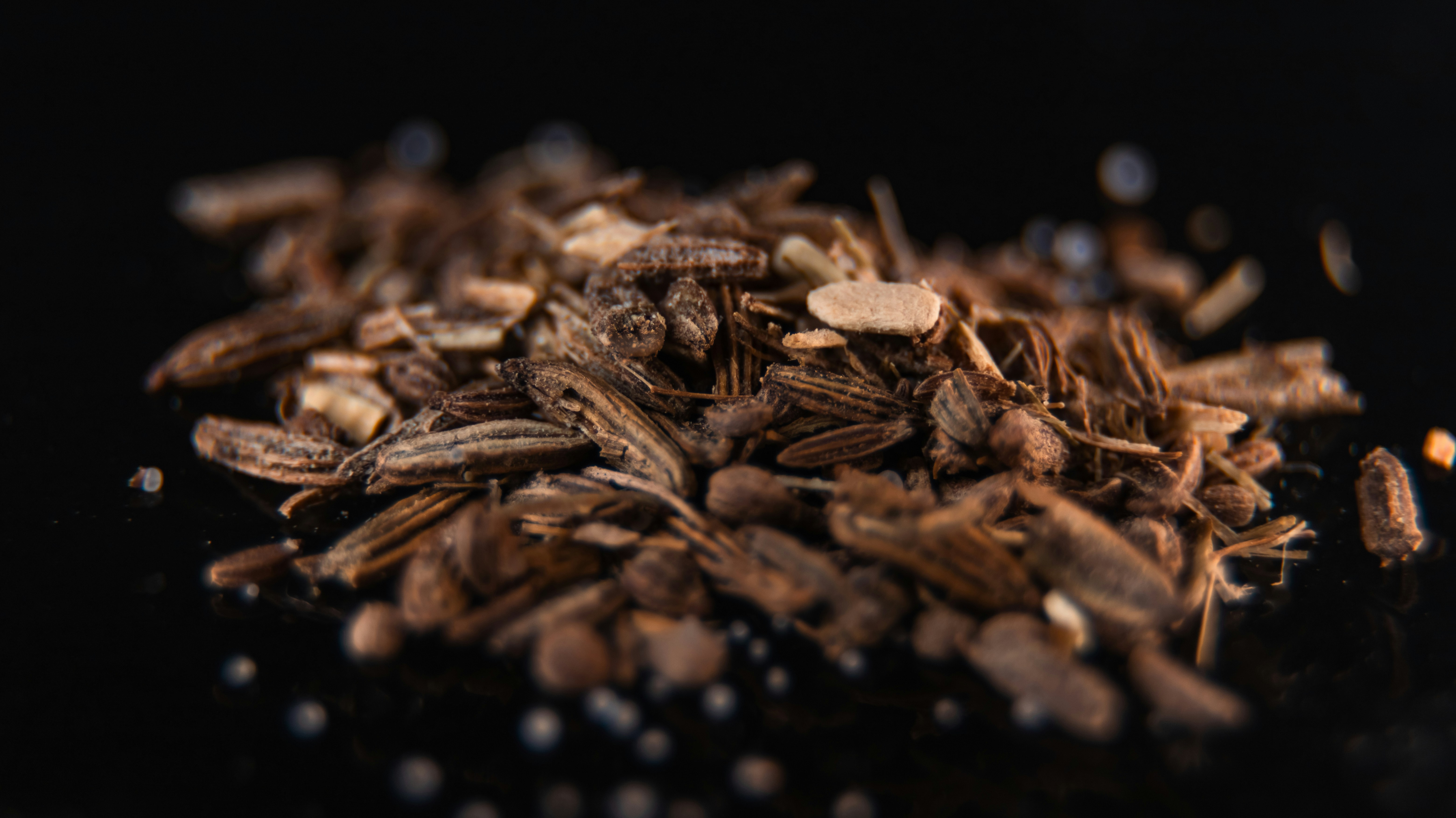 Photo by shutter_speed_