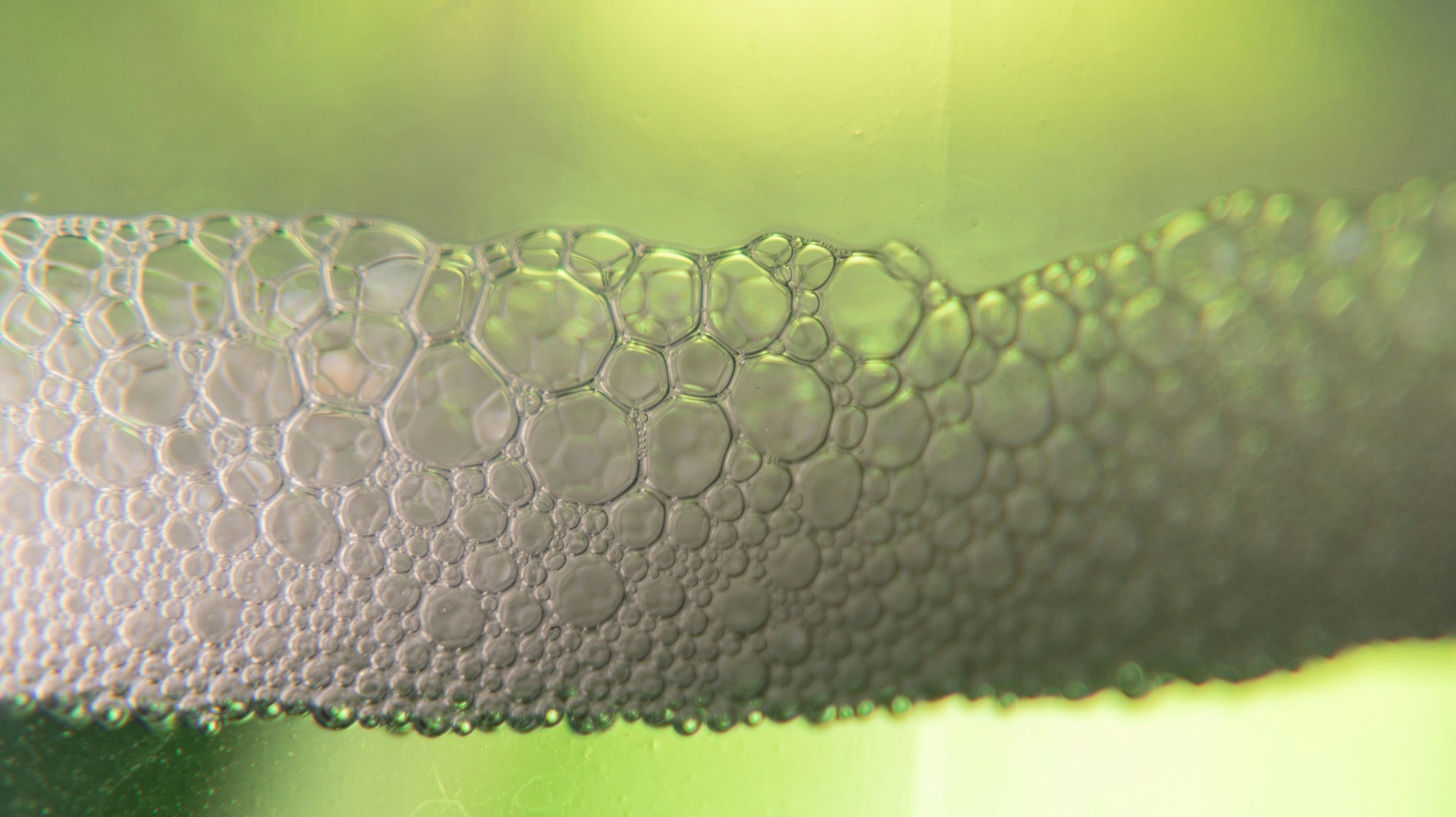 Photo by shutter_speed_