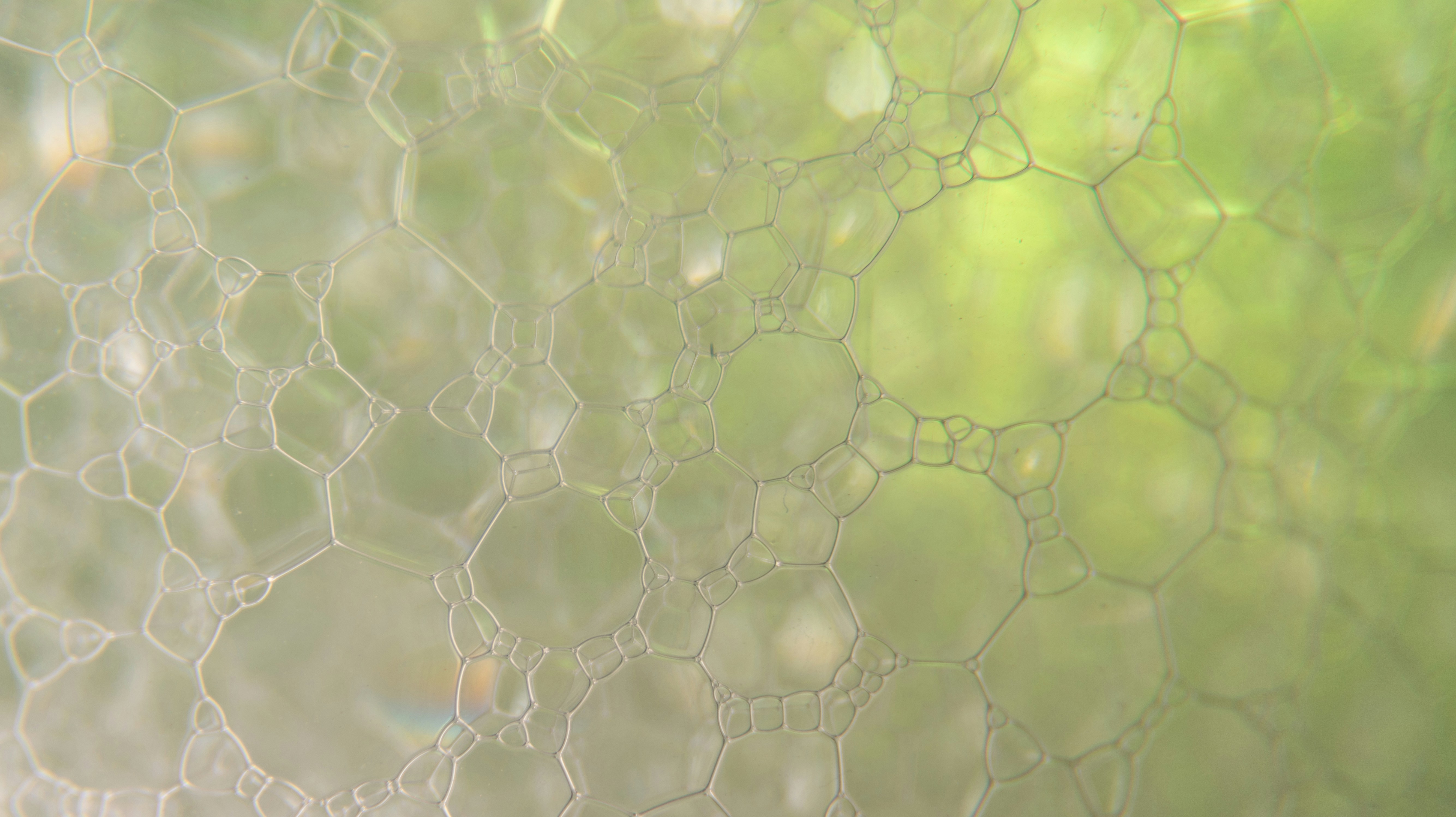 Photo by shutter_speed_