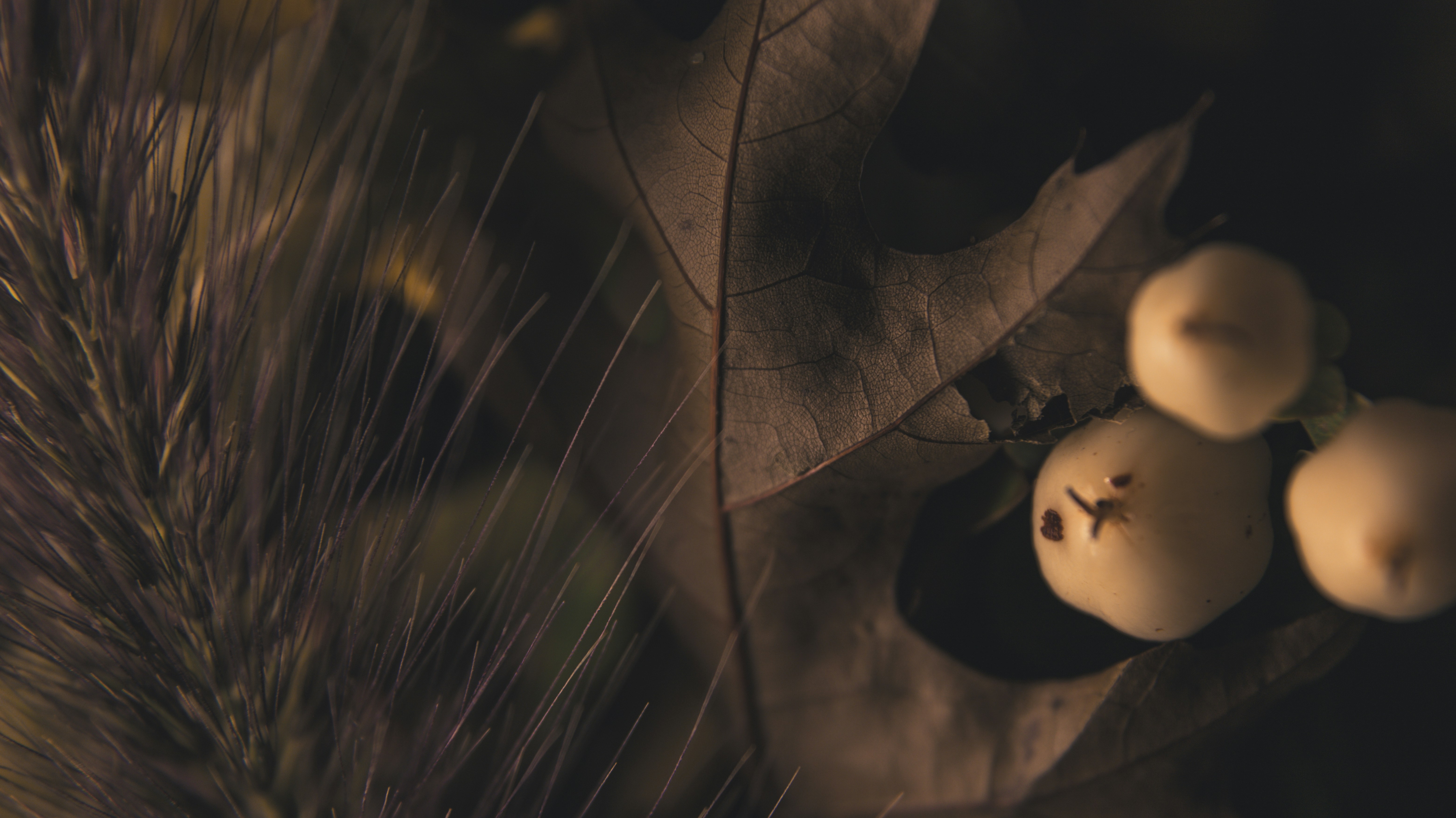 Photo by shutter_speed_