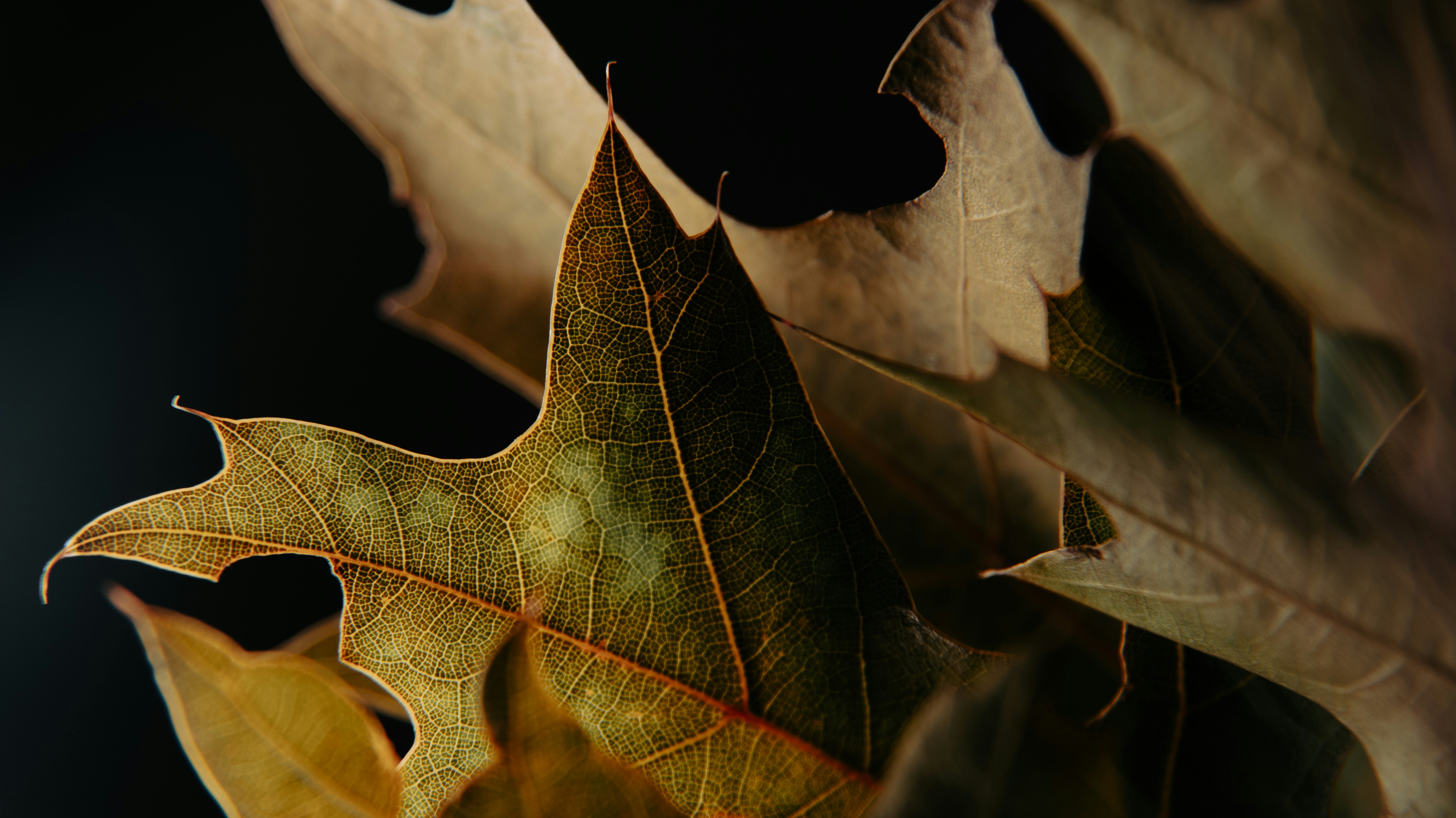 Photo by shutter_speed_